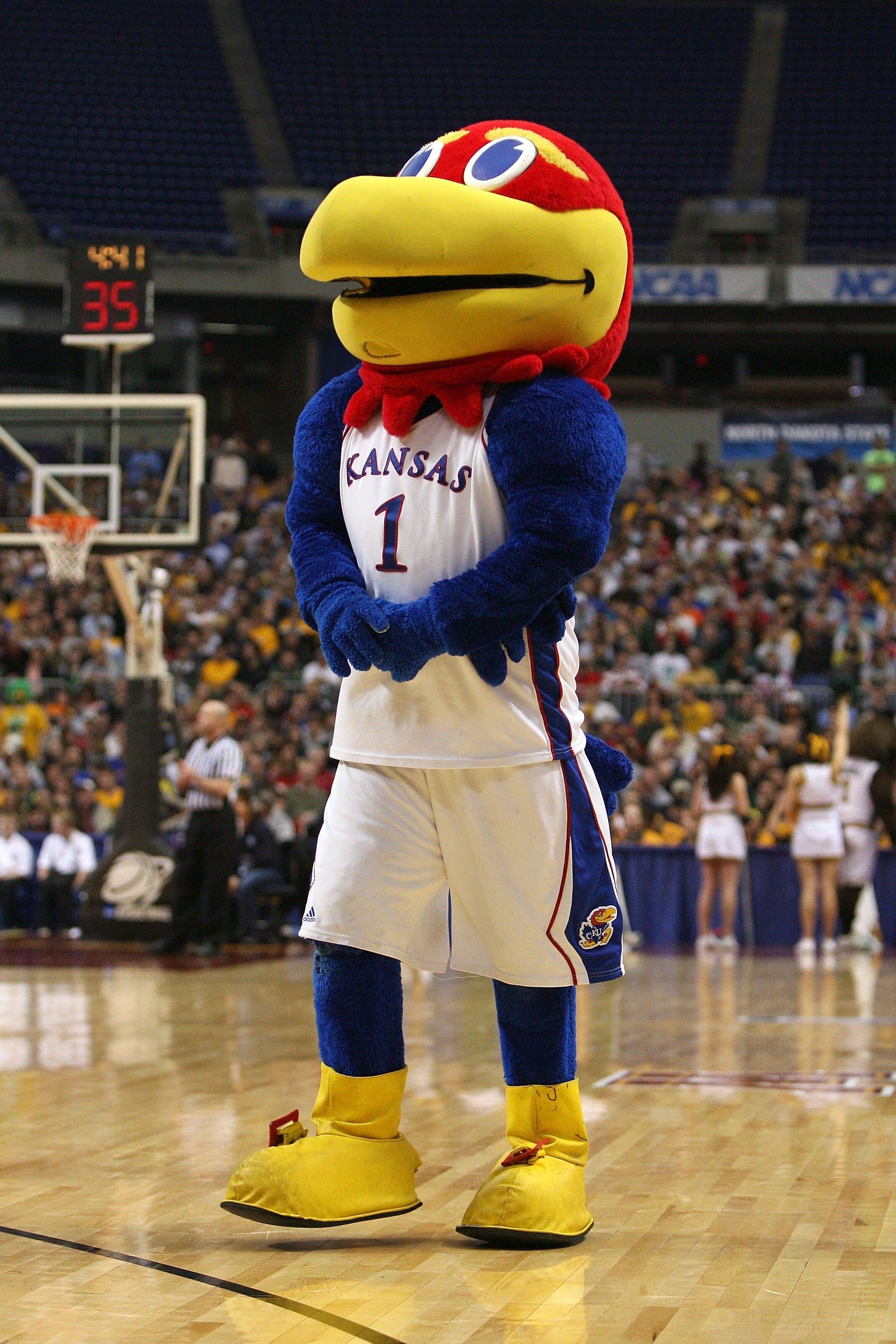 MINNEAPOLIS - MARCH 20:  The mascot of the Kansas Jayhawks performs  against the North Dakota State Bison during the first round of the NCAA Division I Men's Basketball Tournament at the Hubert H. Humphrey Metrodome on March 20, 2009 in Minneapolis, Minne