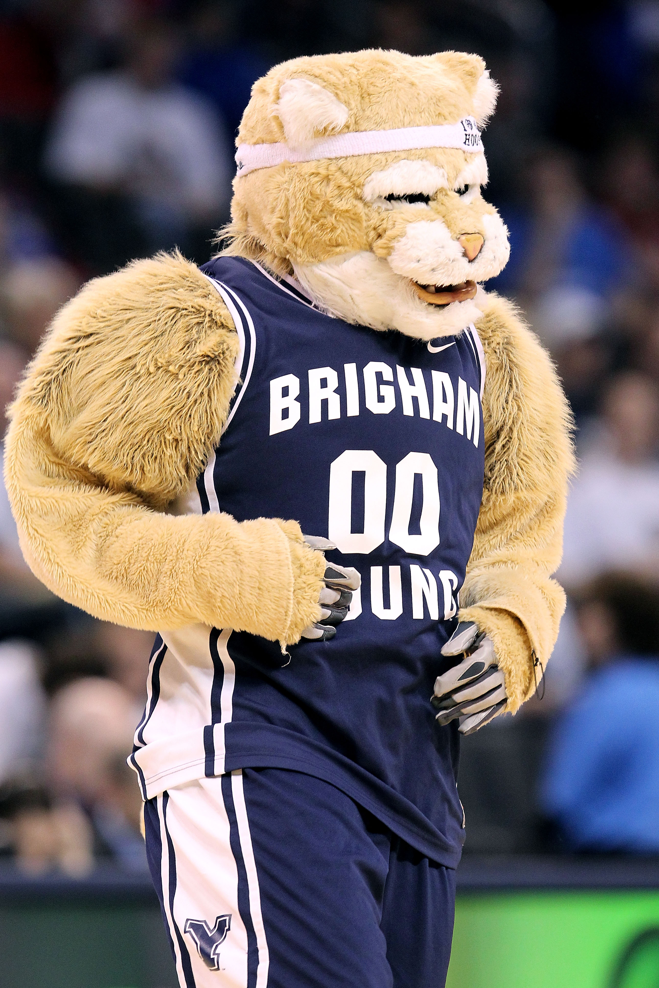OKLAHOMA CITY - MARCH 18:  Cosmo the mascot of the BYU Cougars performs against the Florida Gators during the first round of the 2010 NCAA menï¿½s basketball tournament at Ford Center on March 18, 2010 in Oklahoma City, Oklahoma.  (Photo by Ronald Martinez/