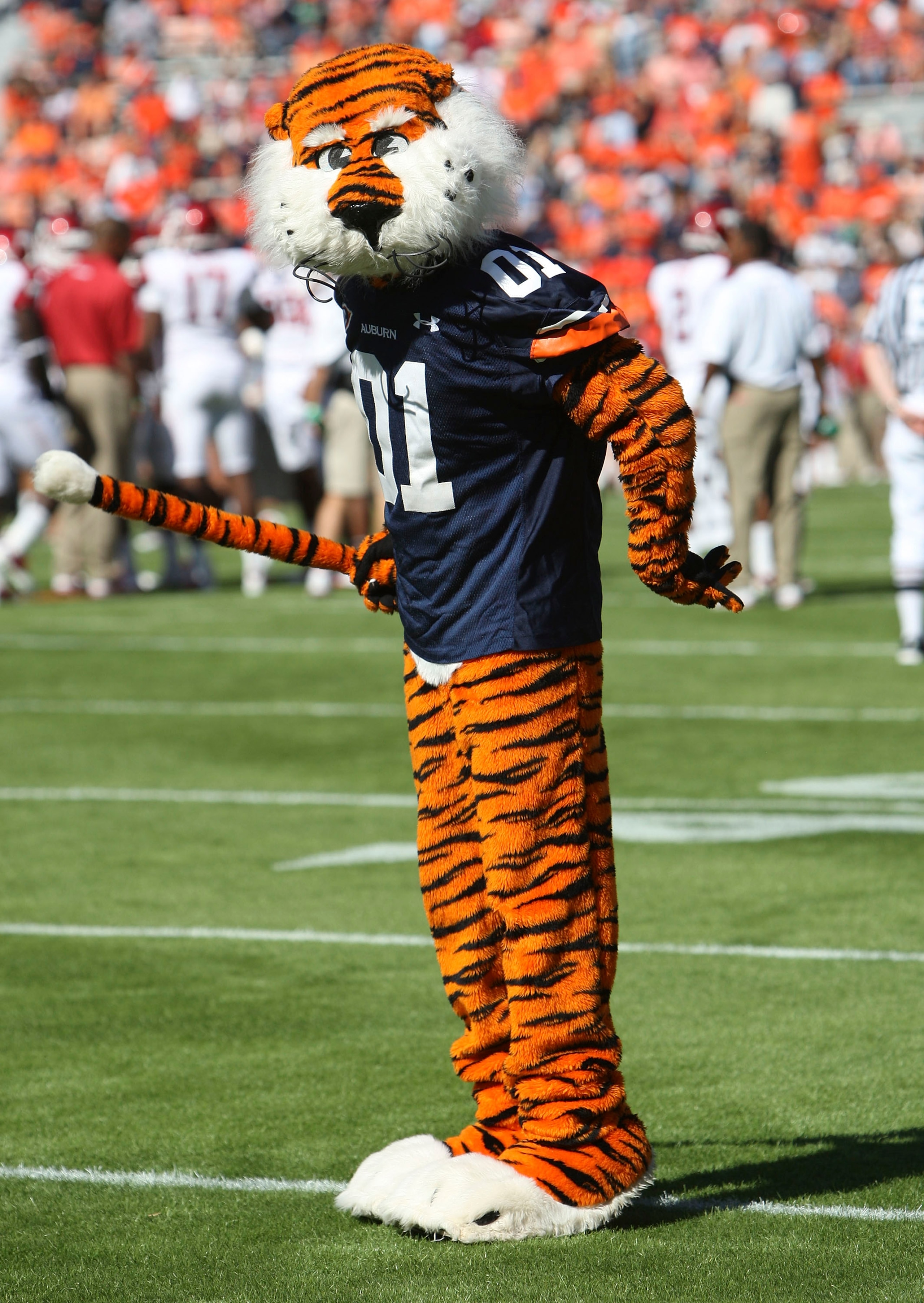 AUBURN, AL - OCTOBER 16:  Auburn University mascot Aubie the Tiger cheers on the field before the game between the Arkansas Razorbacks and the Auburn Tigers at Jordan-Hare Stadium on October 16, 2010 in Auburn, Alabama.  (Photo by Mike Zarrilli/Getty Imag