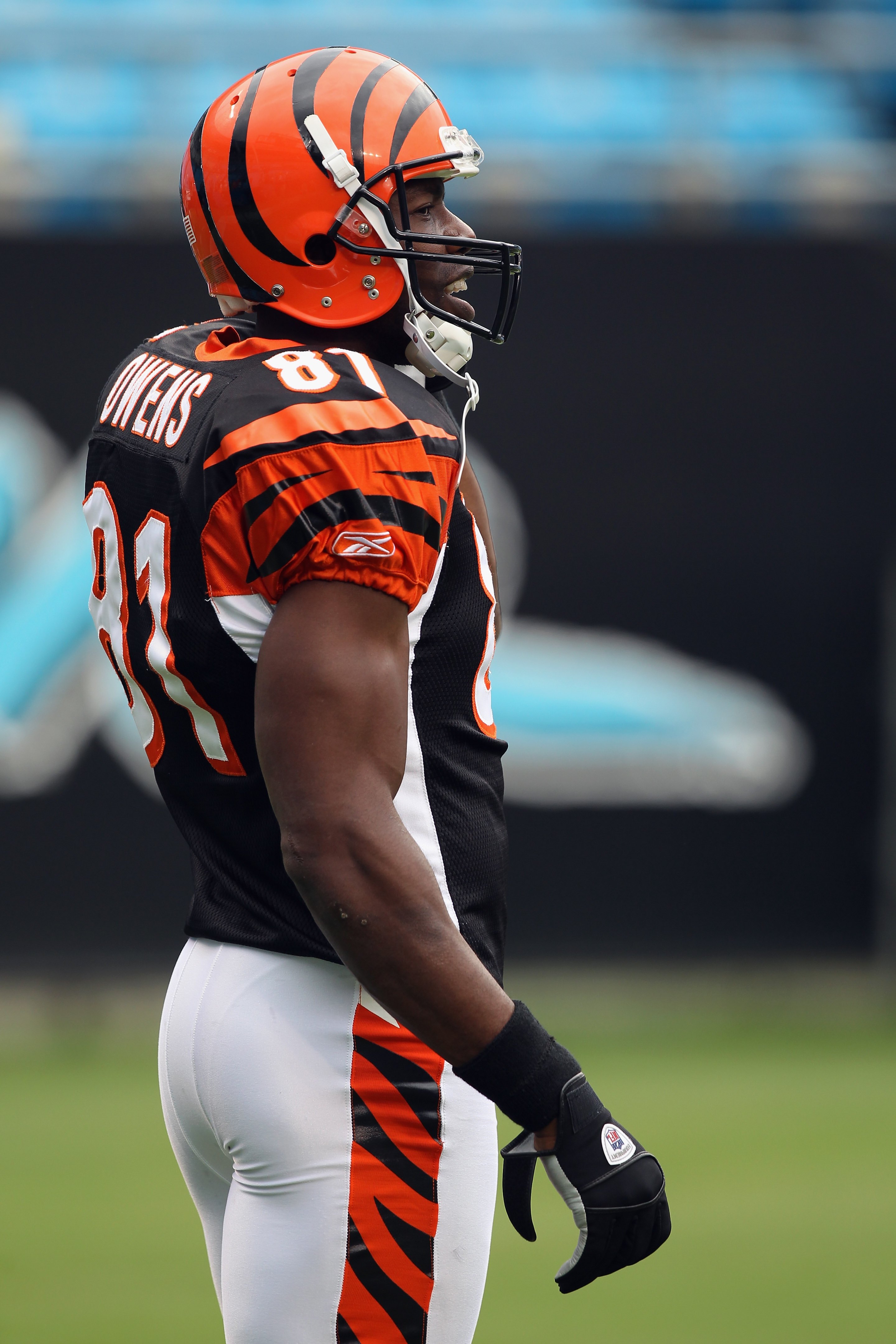 CHARLOTTE, NC - SEPTEMBER 26:  Terrell Owens #81 of the Cincinnati Bengals against the Carolina Panthers during their game at Bank of America Stadium on September 26, 2010 in Charlotte, North Carolina.  (Photo by Streeter Lecka/Getty Images)