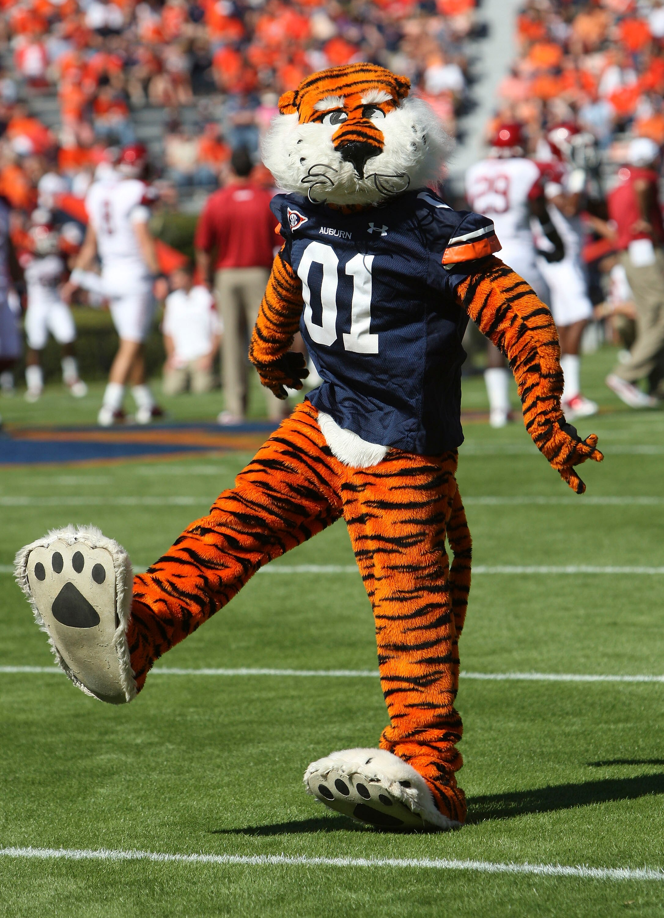 AUBURN - OCTOBER 16:  Auburn University mascot Aubie the Tiger cheers on the field before the game between the Arkansas Razorbacks and the Auburn Tigers at Jordan-Hare Stadium on October 16, 2010 in Auburn, Alabama.  (Photo by Mike Zarrilli/Getty Images)