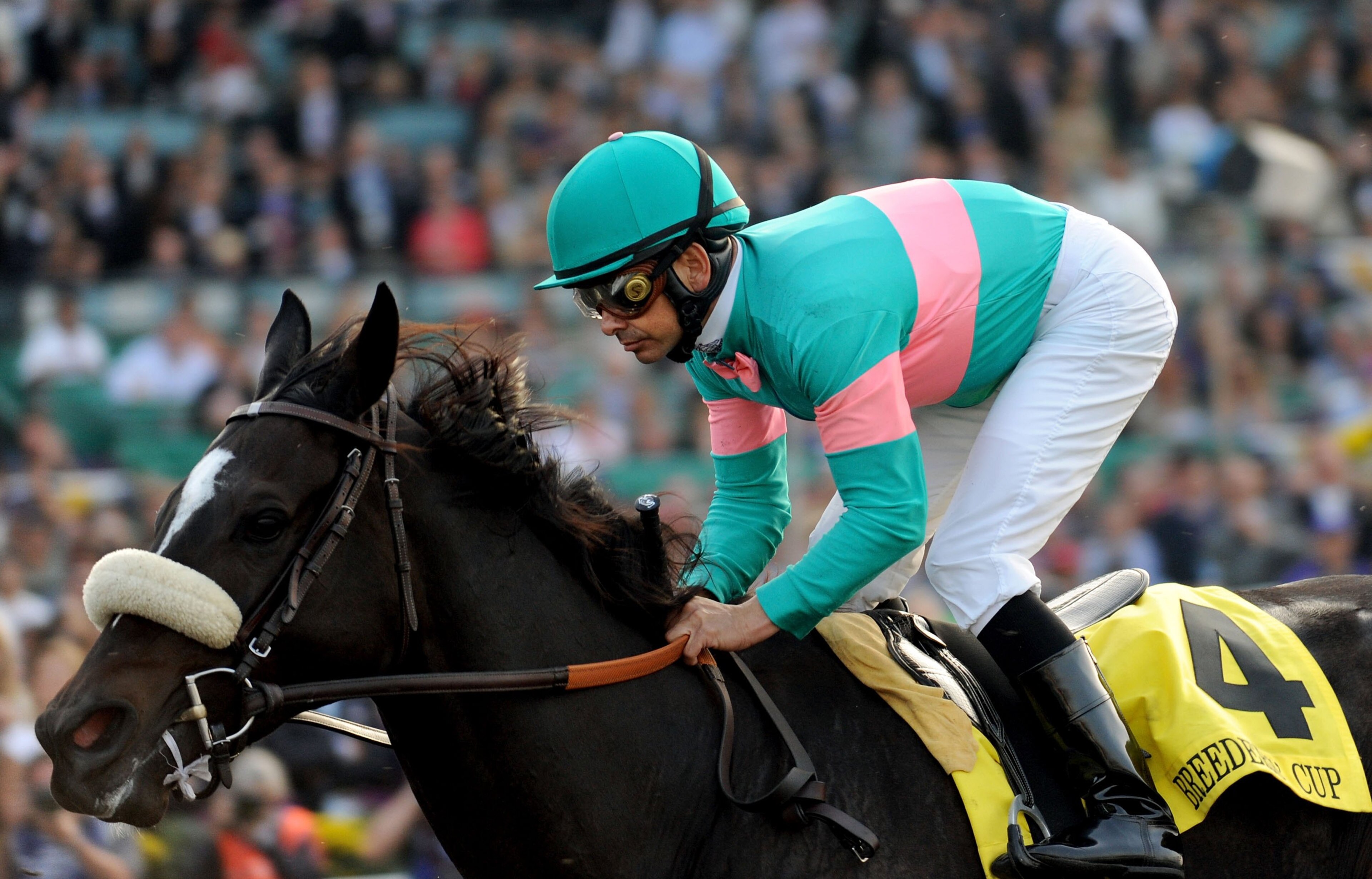 ARCADIA, CA - NOVEMBER 07:  Winner Mike Smith rides Zenyatta races in the Breeders' Cup Classic race during the Breeders' Cup World Championships at Santa Anita Park November 7, 2009 in Arcadia, California.  (Photo by Harry How/Getty Images)