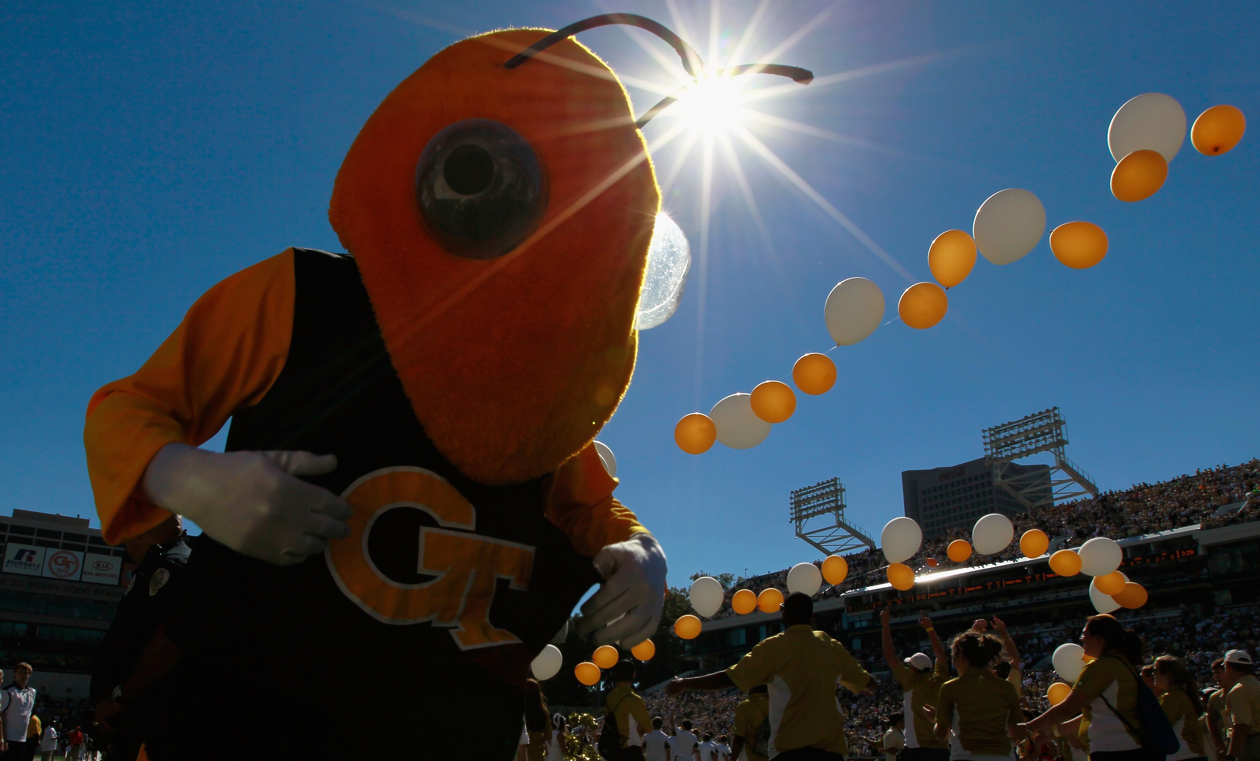 ATLANTA - OCTOBER 09:  Buzz, mascot of the Georgia Tech Yellow Jackets, cheers before the game against the Virginia Cavaliers at Bobby Dodd Stadium on October 9, 2010 in Atlanta, Georgia.  (Photo by Kevin C. Cox/Getty Images)