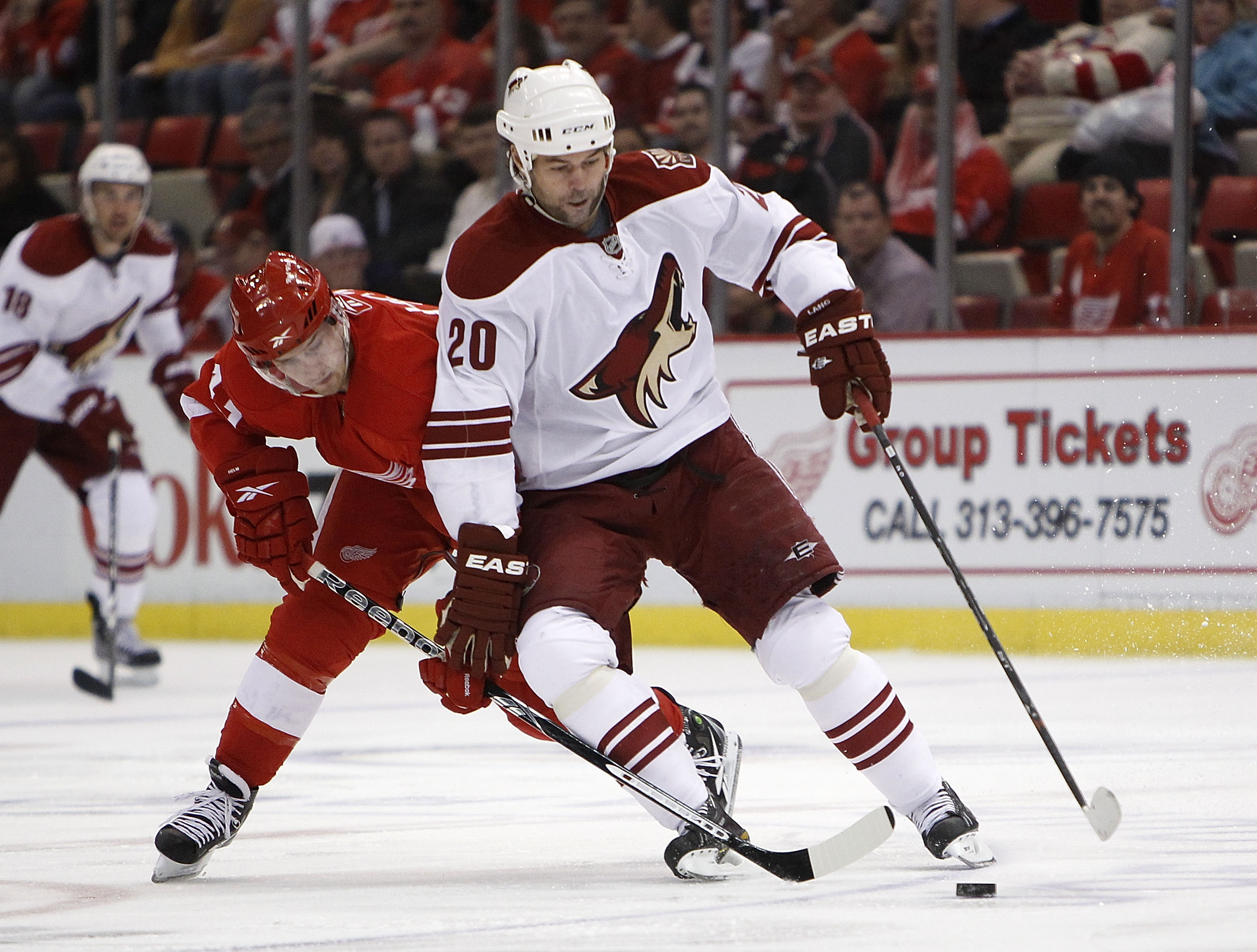 DETROIT - APRIL 20: Robert Lang #20 of the Phoenix Coyotes tries to control the puck in front Darren Helm #43 of the Detroit Red Wings during Game Four of the Western Conference Quarterfinals of the 2010 NHL Stanley Cup Playoffs on April 20, 2010 at Joe L