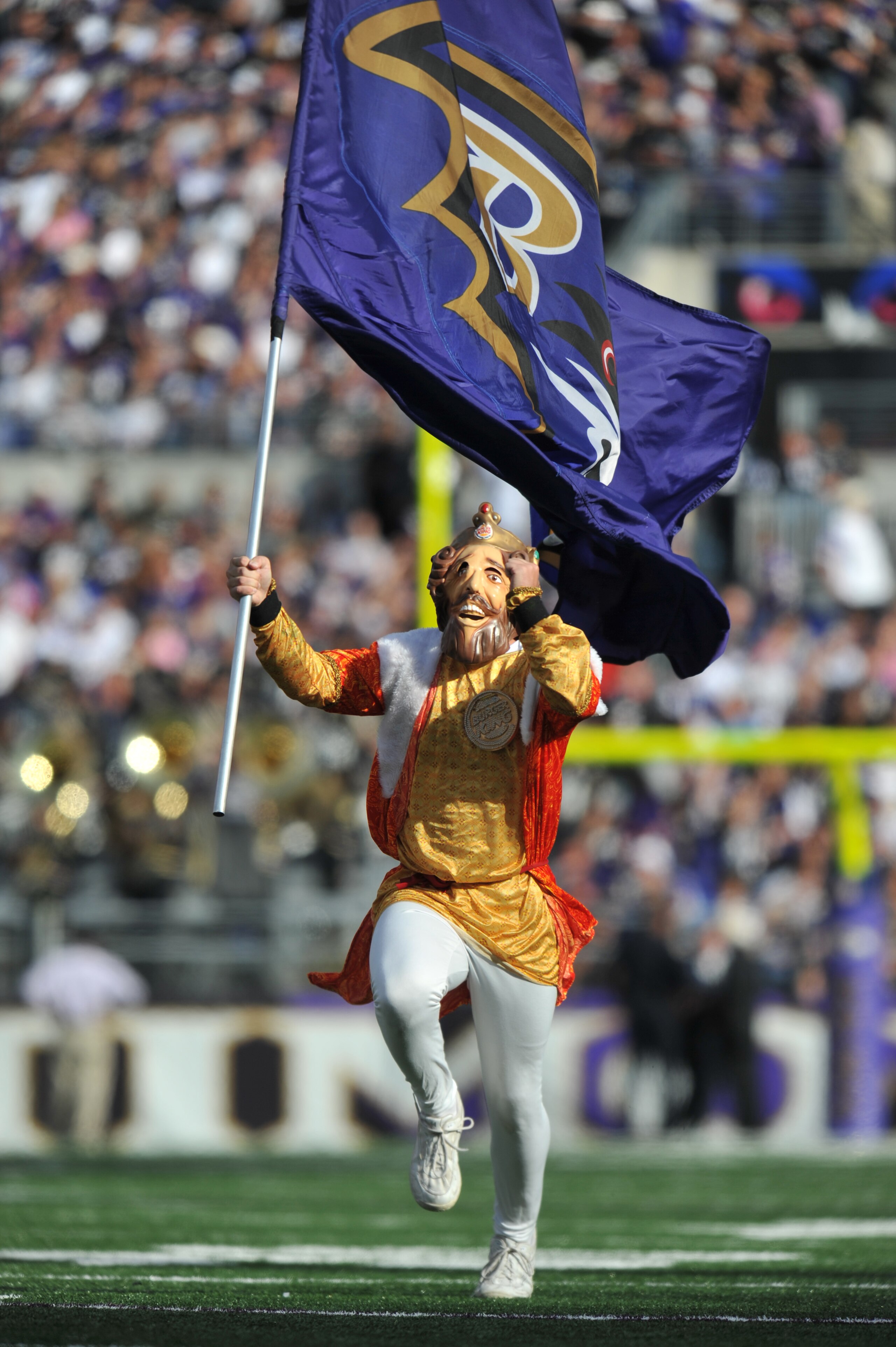 BALTIMORE, MD - OCTOBER 24:  A cheerleader for the Baltimore Ravens celebrates a Ravens touchdown against the Buffalo Bills at M&T Bank Stadium on October 24, 2010 in Baltimore, Maryland. The Ravens defeated the Bills 37-34. (Photo by Larry French/Getty I