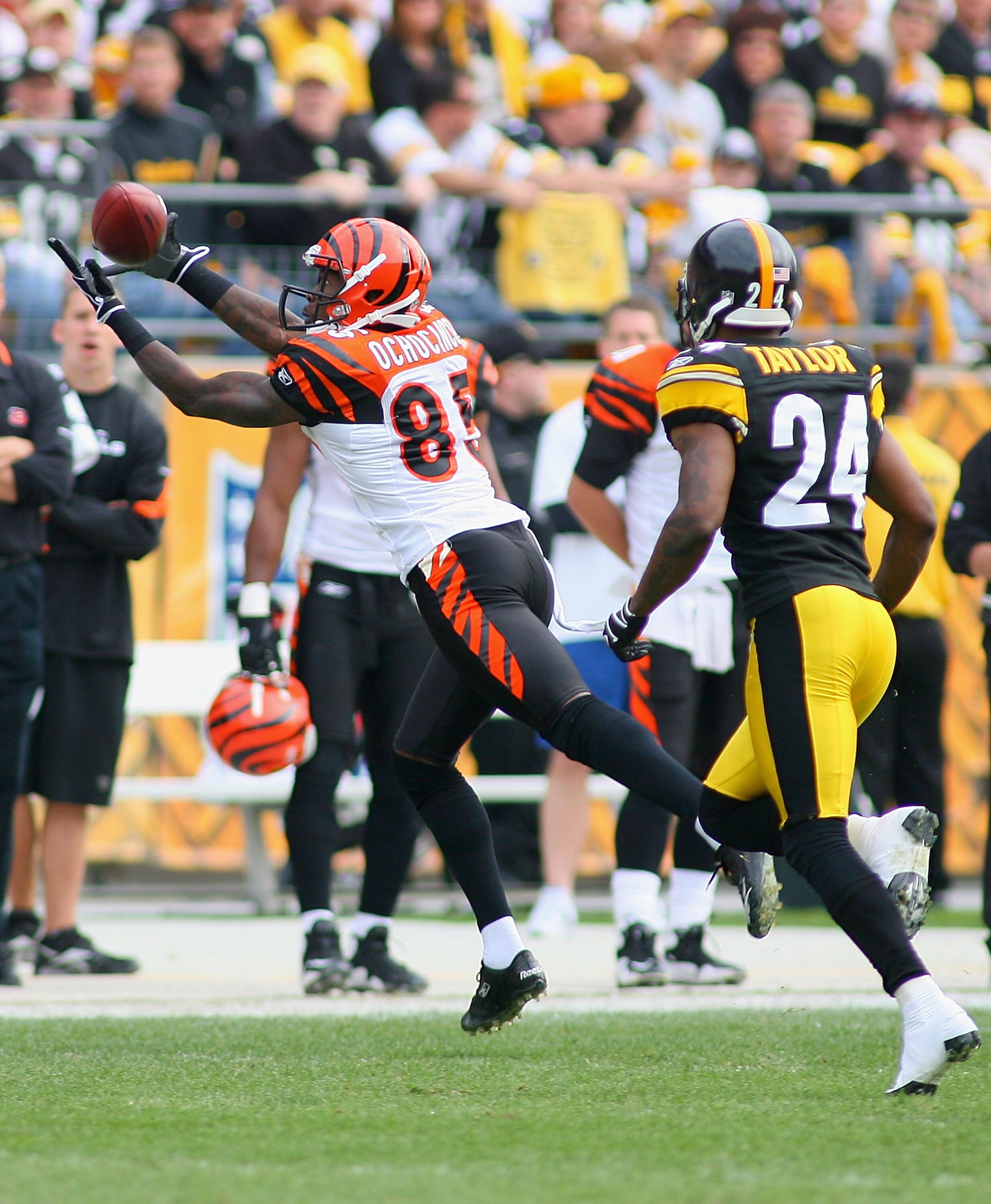 PITTSBURGH - NOVEMBER 15: Chad Ochocinco #85 of the Cincinnati Bengals makes a catch ahead of Ike Taylor #24 of the Pittsburgh Steelers at Heinz Field on November 15, 2009 in Pittsburgh, Pennsylvania.  (Photo by Rick Stewart/Getty Images)