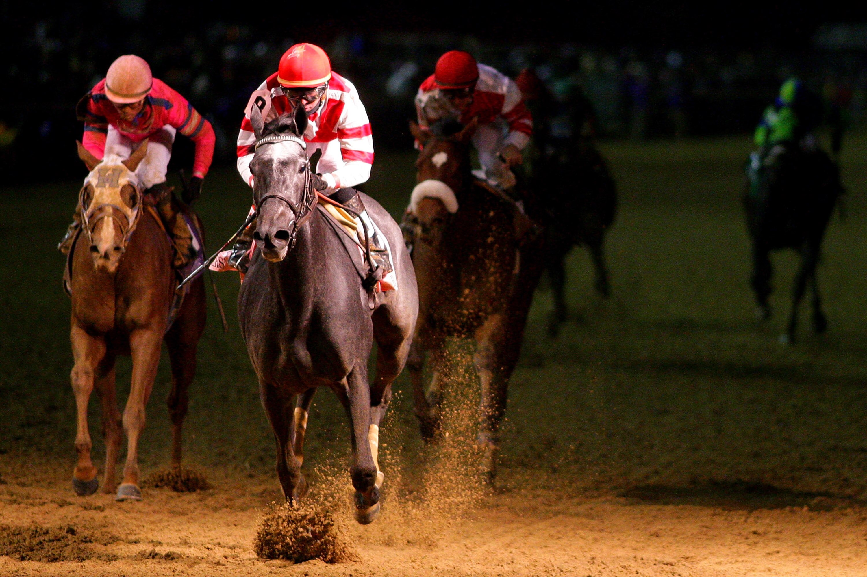 LOUISVILLE, KY - NOVEMBER 05:  Unrivaled Belle, riden by Kent Desormeaux, crosses the finish line to win the Ladies Classic during the Breeders' Cup World Championships at Churchill Downs on November 5, 2010 in Louisville, Kentucky.  (Photo by Matthew Sto