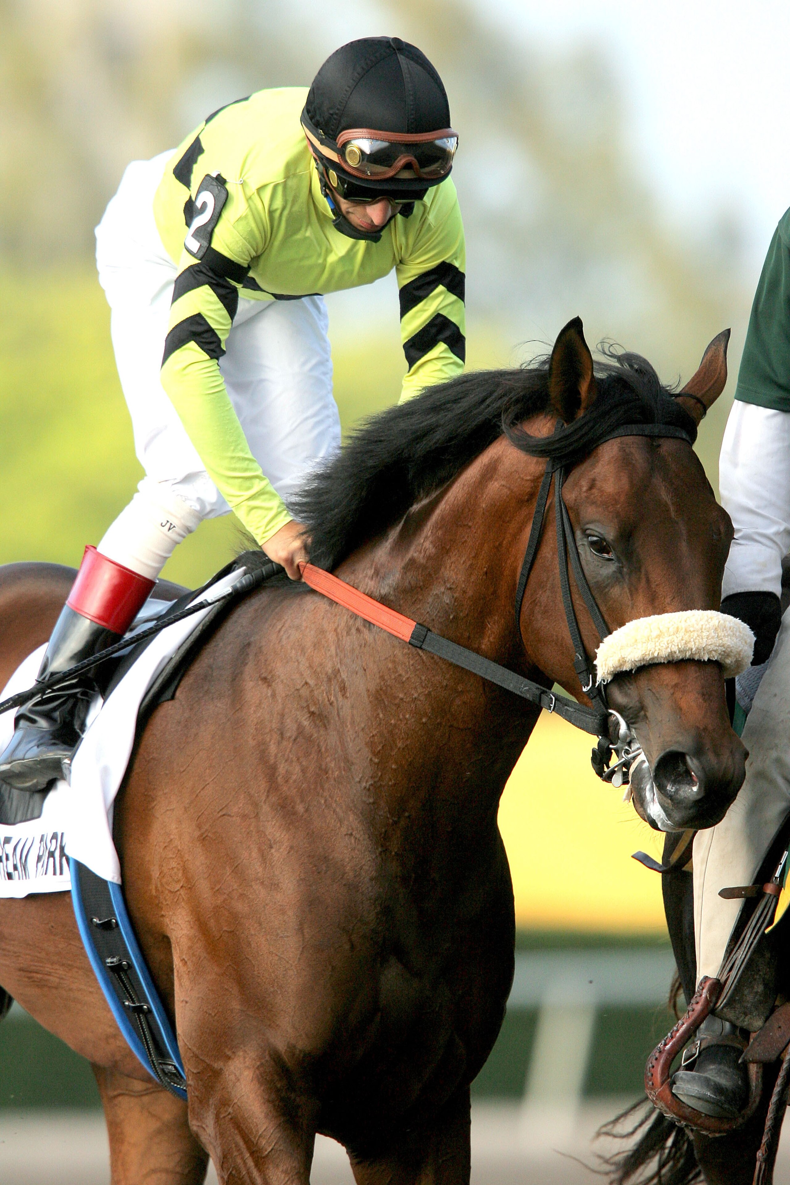 KEY BISCAYNE, FL - MARCH 28:  Quality Road #2 ridden by jockey John Velazquez is led to the starters gate before racing in the Florida Derby at Gulfstream Park on March 28, 2009 in Hallandale Beach, Florida.  (Photo by Matthew Stockman/Getty Images)