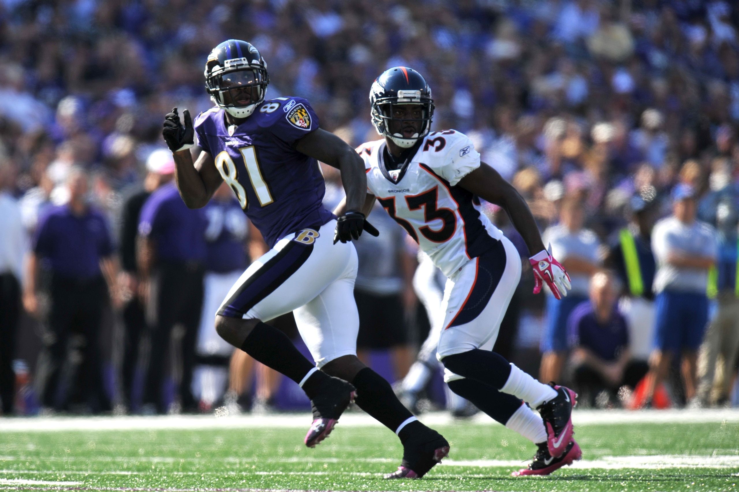 BALTIMORE, MD - OCTOBER 10: Anquan Boldin #81 of the Baltimore Ravens goes out for a pass against the Denver Broncos at M&T Bank Stadium on October 10, 2010 in Baltimore, Maryland. Players wore pink in recognition of Breast Cancer Awareness Month. The Rav