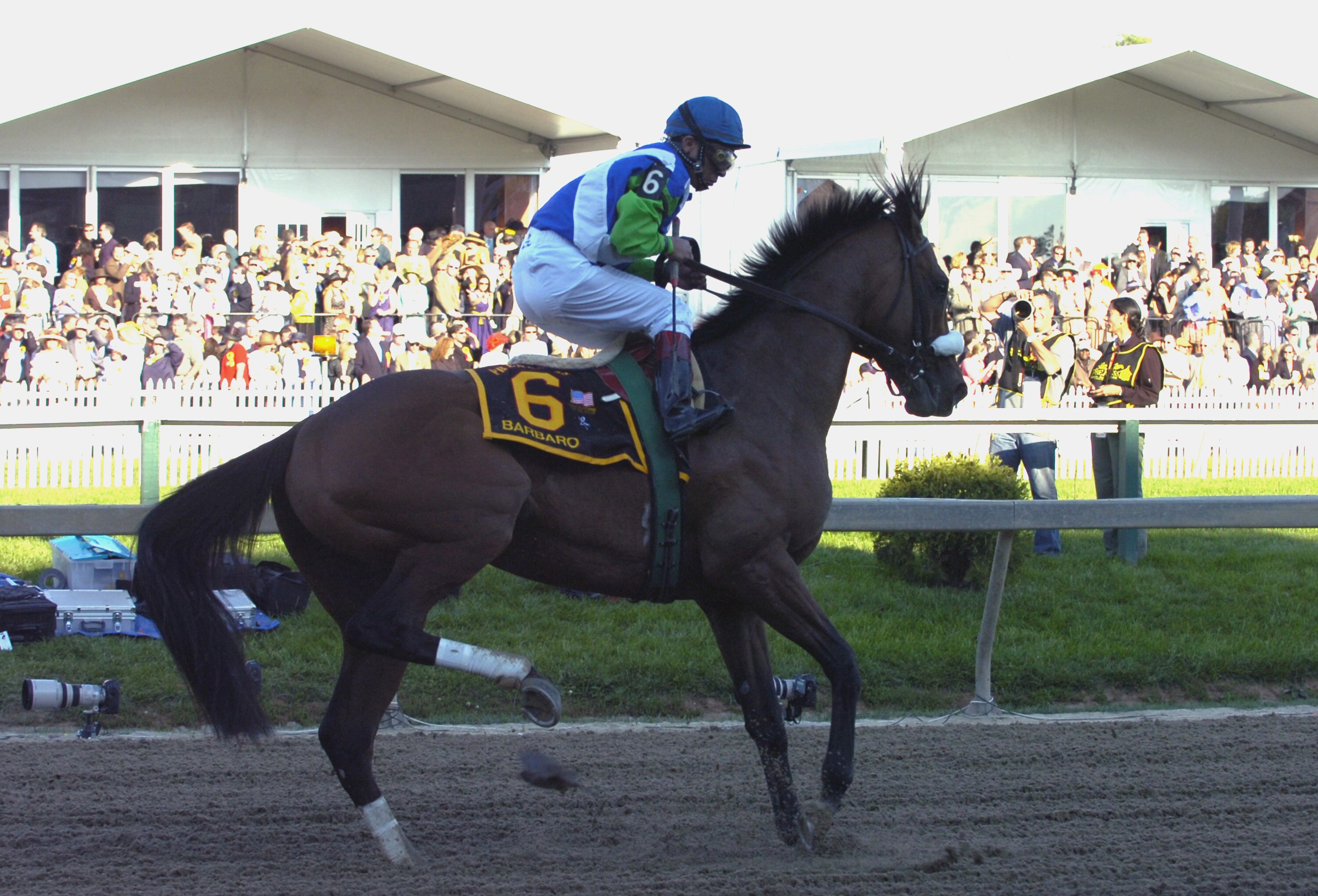 Barbaro, ridden by Edgar Prado, pulls up lame at the beginning of the 131st Preakness Stakes at Pimlico Race Track in Baltimore, Maryland on Saturday May 20, 2006.  (Photo by A. Messerschmidt/Getty Images)