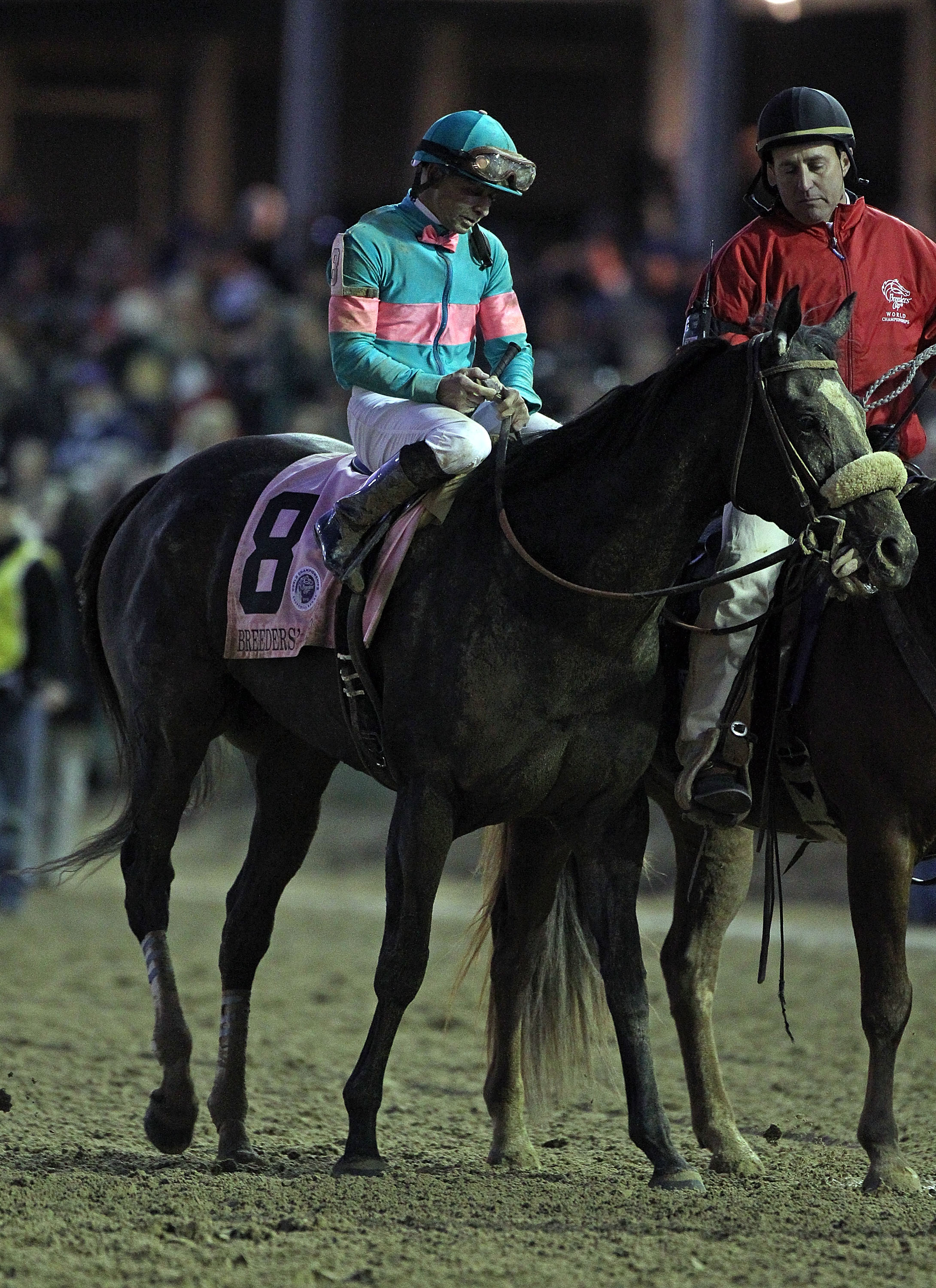 LOUISVILLE, KY - NOVEMBER 06:  Jockey Mike Smith sitting aboard Zenyatta reacts after finishing second in the Classic during the Breeders' Cup World Championships at Churchill Downs on November 6, 2010 in Louisville, Kentucky.  (Photo by Andy Lyons/Getty