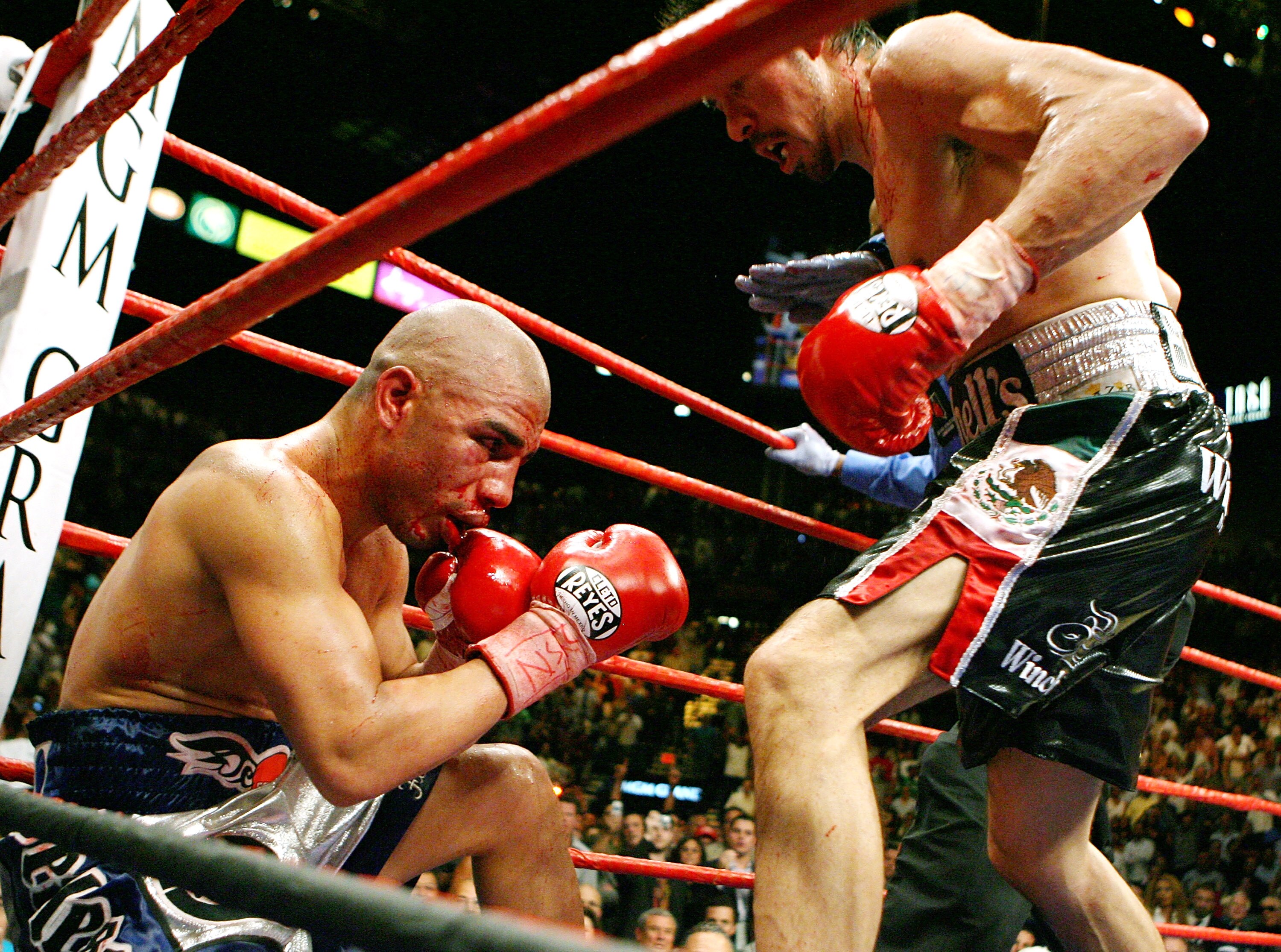 LAS VEGAS - JULY 26:  Antonio Margarito (R) knocks down Miguel Cotto to win the WBA welterweight title fight by TKO in the 11th round at the MGM Grand Garden Arena July 26, 2008 in Las Vegas, Nevada.    (Photo by Ethan Miller/Getty Images)