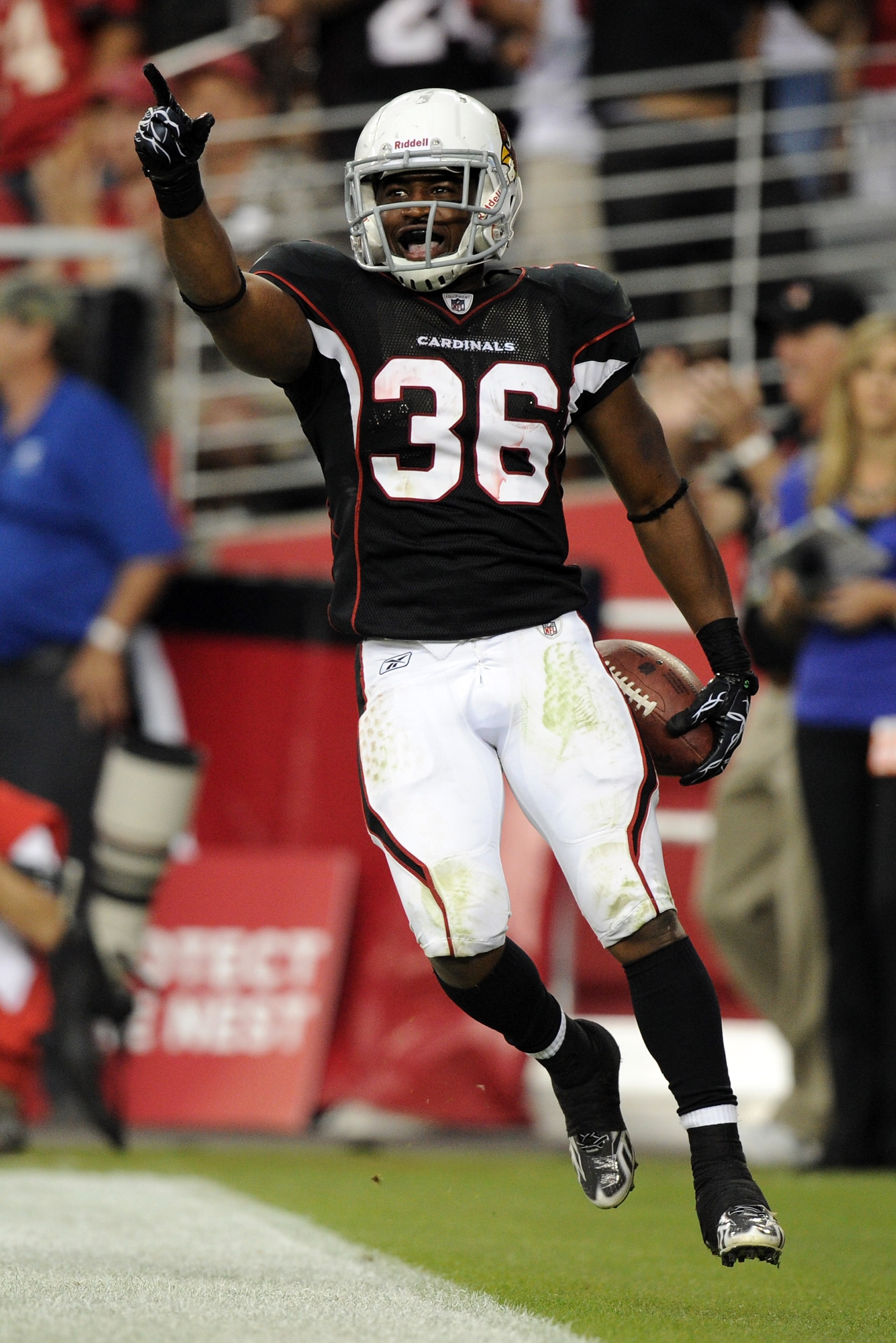 GLENDALE, AZ - OCTOBER 31:  LaRod Stephens-Howling #36 of the Arizona Cardinals celebrates his touchdown against the Tampa Bay Buccaneers during the fourth quarter at University of Phoenix Stadium on October 31, 2010 in Glendale, Arizona.  (Photo by Harry