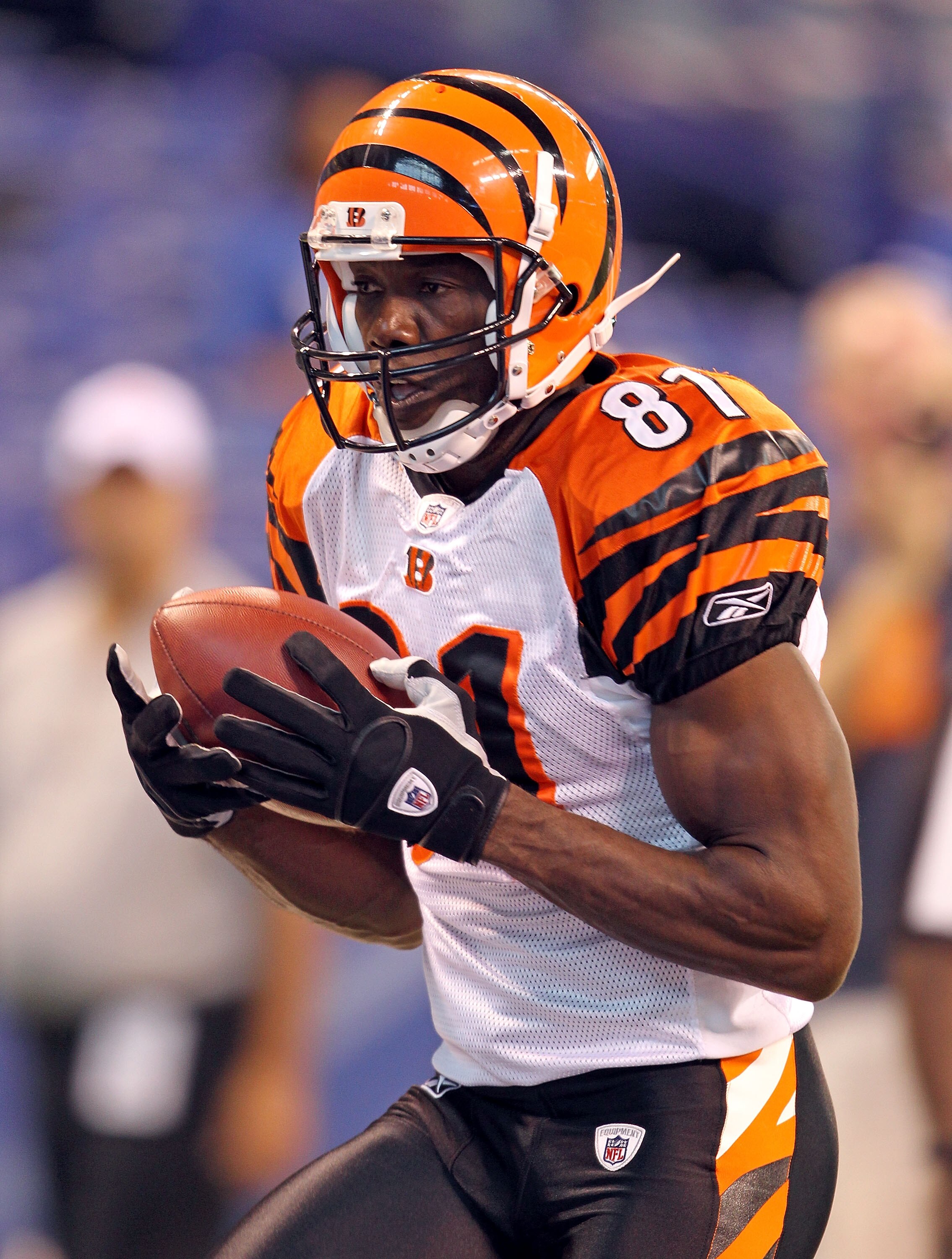INDIANAPOLIS - SEPTEMBER 02:  Terrell Owens #81  of the Cincinnati Bengals catches a pass before the NFL preseason game against the Indianapolis Colts at Lucas Oil Stadium on September 2, 2010 in Indianapolis, Indiana.  (Photo by Andy Lyons/Getty Images)