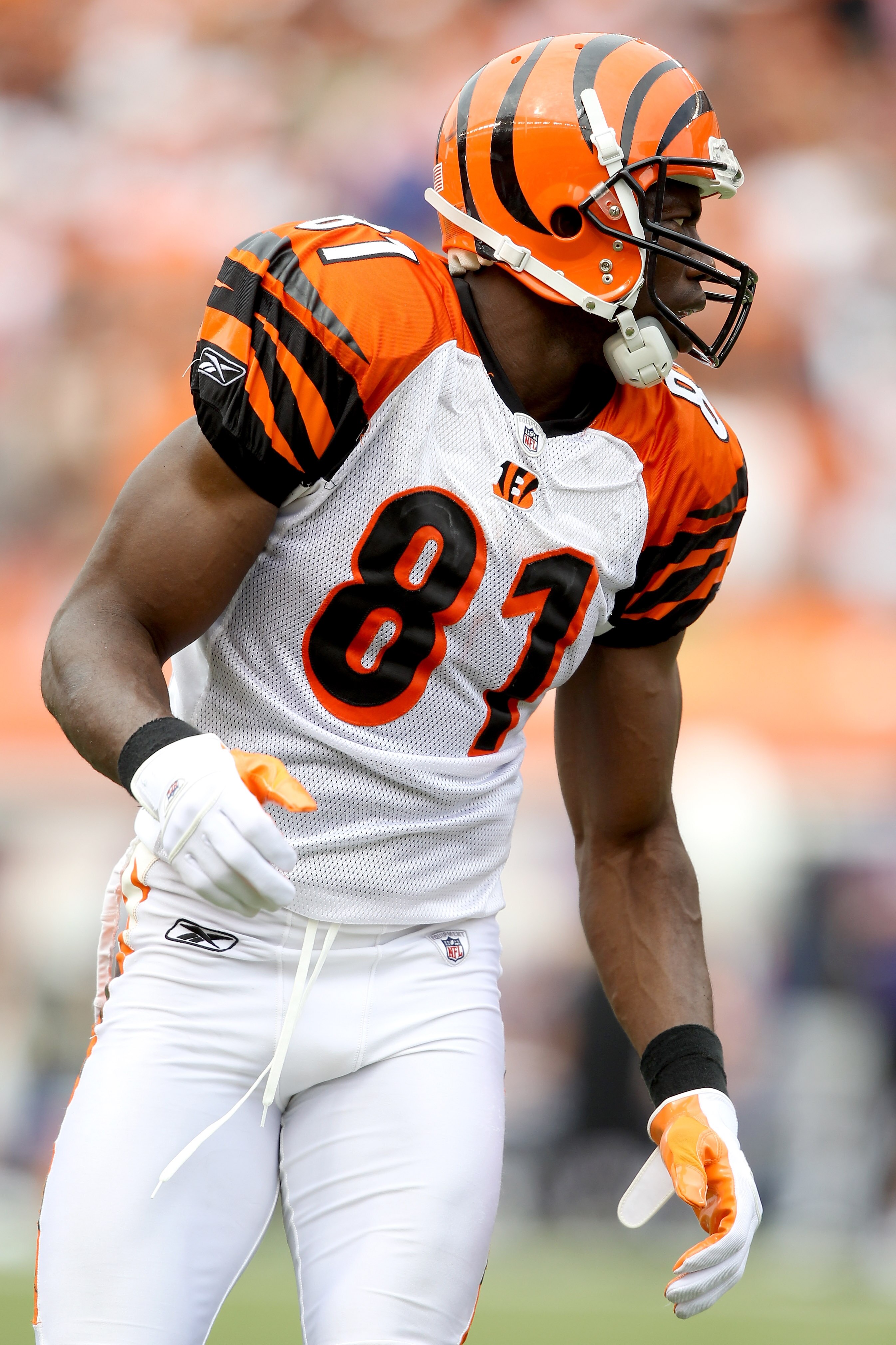 CINCINNATI - SEPTEMBER 19:  Terrell Owens #81 of the Cincinatti Bengals in action against the Baltimore Ravens at Paul Brown Stadium on September 19, 2010 in Cincinnati, Ohio.  (Photo by Matthew Stockman/Getty Images)