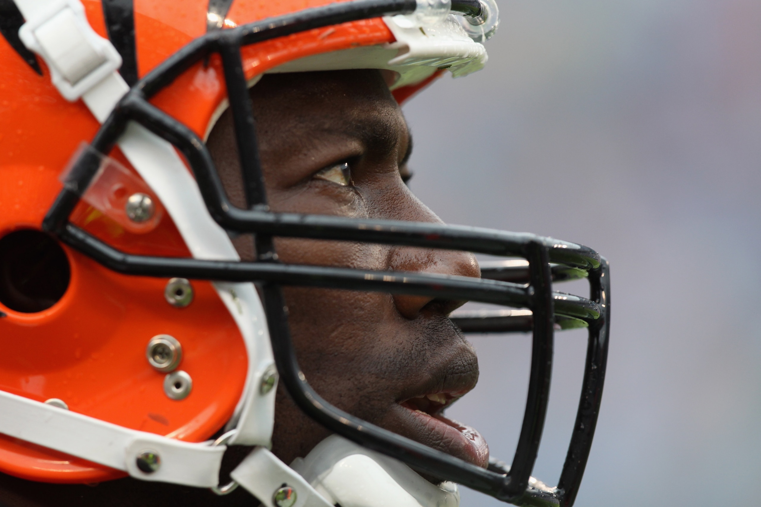 CHARLOTTE, NC - SEPTEMBER 26:  Terrell Owens #81 of the Cincinnati Bengals watches on during their game against the Carolina Panthers at Bank of America Stadium on September 26, 2010 in Charlotte, North Carolina.  (Photo by Streeter Lecka/Getty Images)