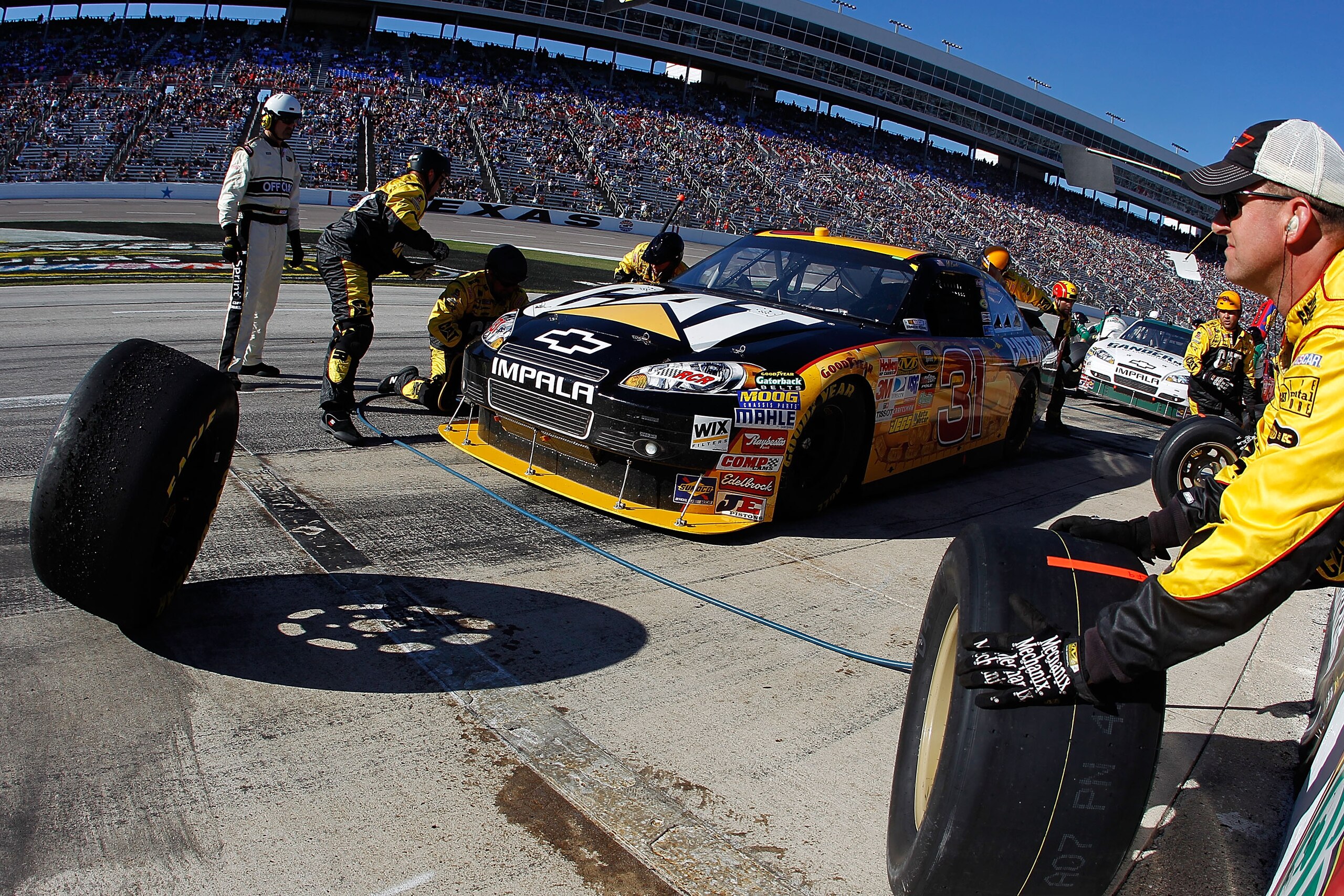 FORT WORTH, TX - NOVEMBER 07:  Jeff Burton, driver of the #31 Caterpillar Chevrolett, makes a pit stop during the NASCAR Sprint Cup Series AAA Texas 500 at Texas Motor Speedway on November 7, 2010 in Fort Worth, Texas.  (Photo by Todd Warshaw/Getty Images