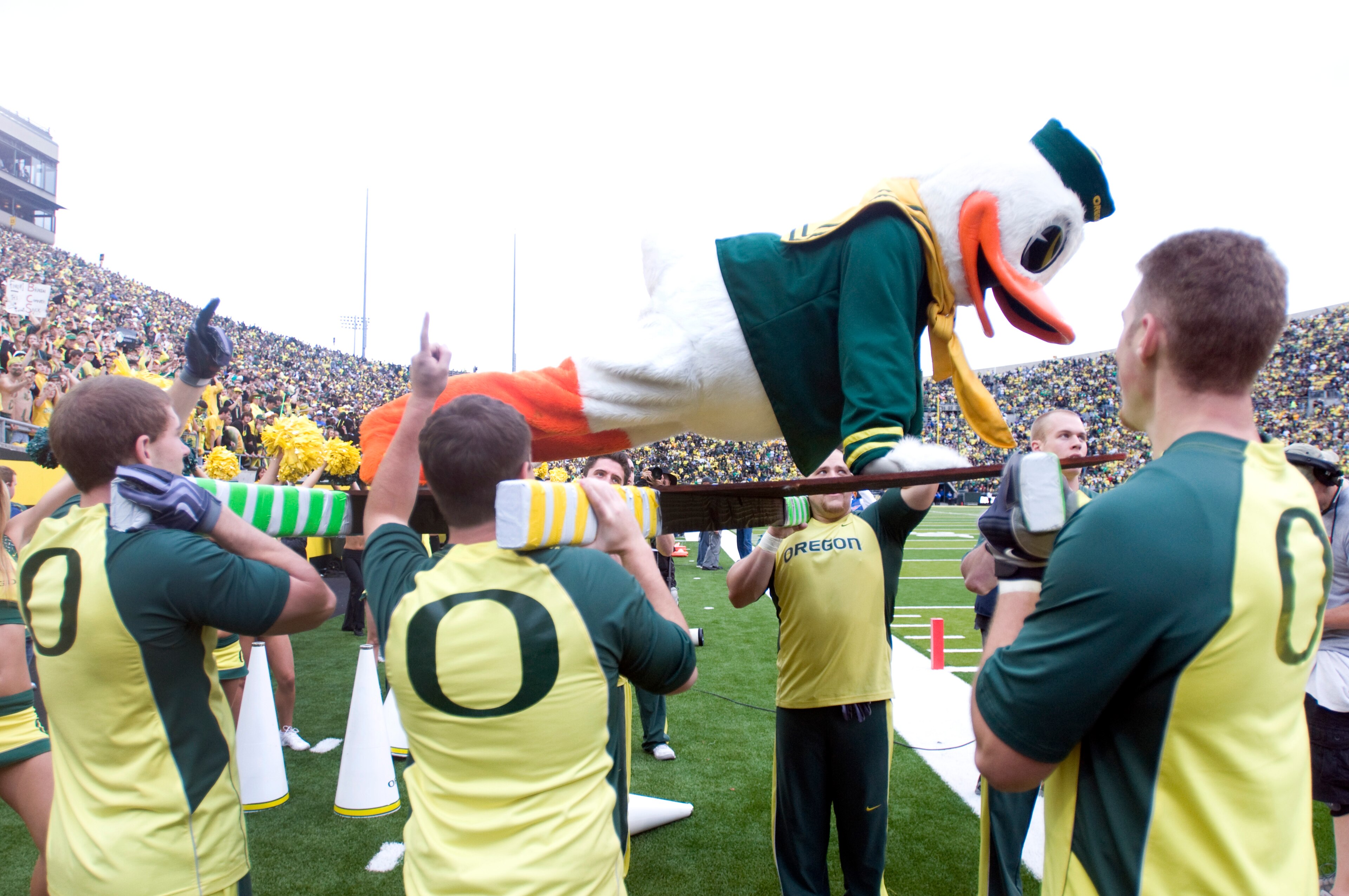 EUGENE, OR - NOVEMBER 6: Mascot 'Puddles' of the Oregon Ducks does some push ups after the Ducks scoured in the fourth quarter of the game between the Washington Huskies and the Oregon Ducks at Autzen Stadium on November 6, 2010 in Eugene, Oregon. The Duc