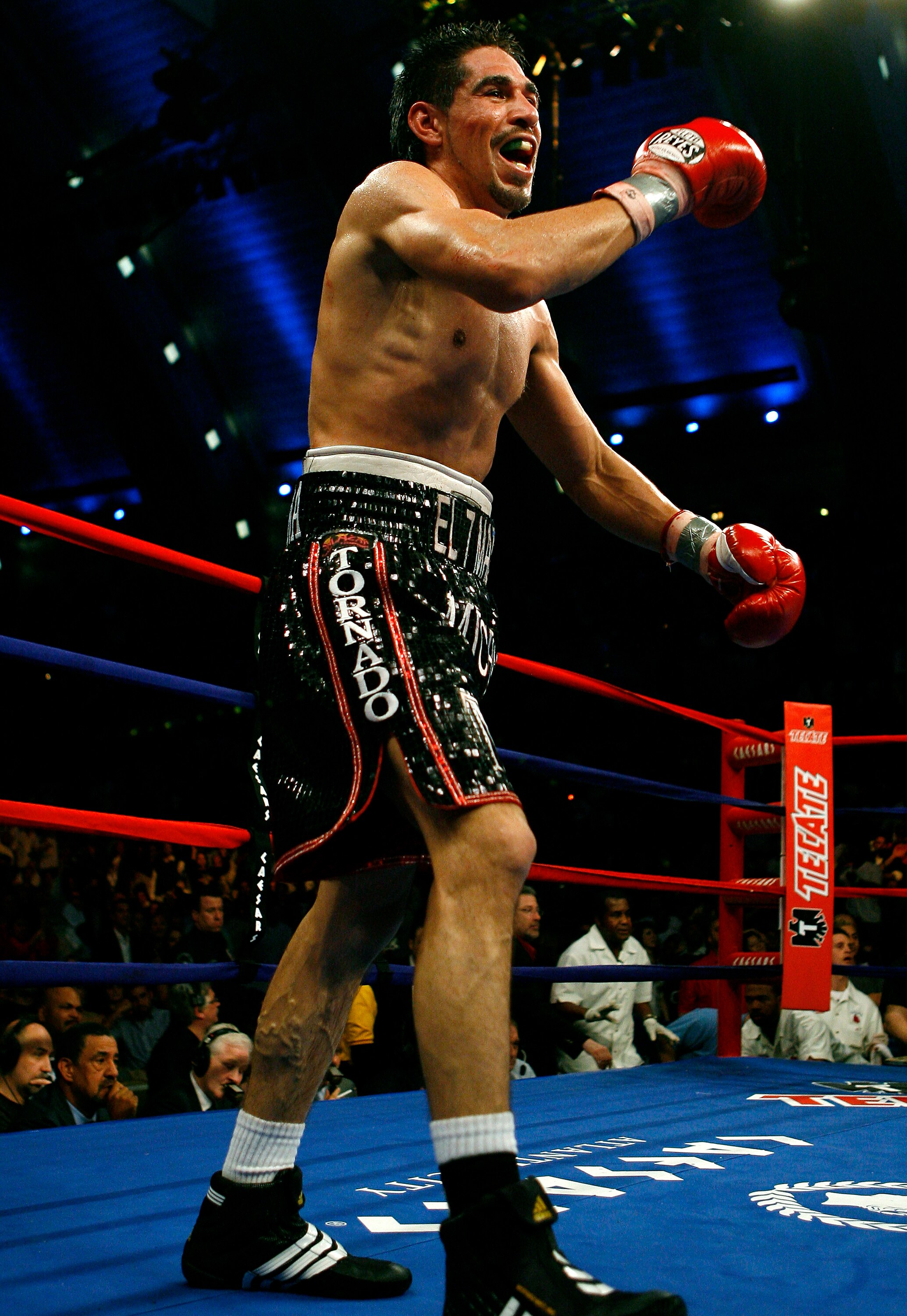 ATLANTIC CITY, NJ  - APRIL 12: Antonio Margarito celebrates his win over  Kermit Cintron in the sixth rounf of their IBF World Welterweight Title bout at Boardwalk Hall on April 12, 2008 in Atlantic City, New Jersey. (Photo by Jeff Zelevansky/Getty Images