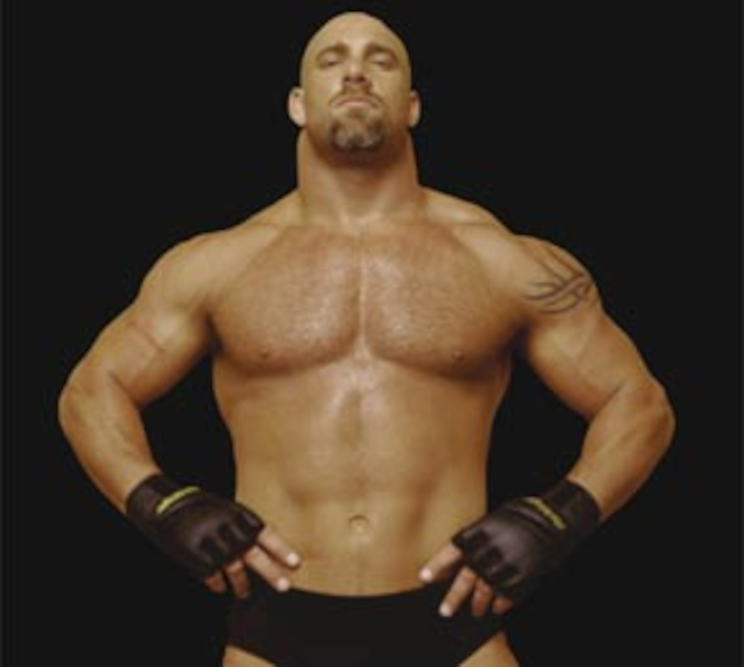 Photo courtey of wwe.com