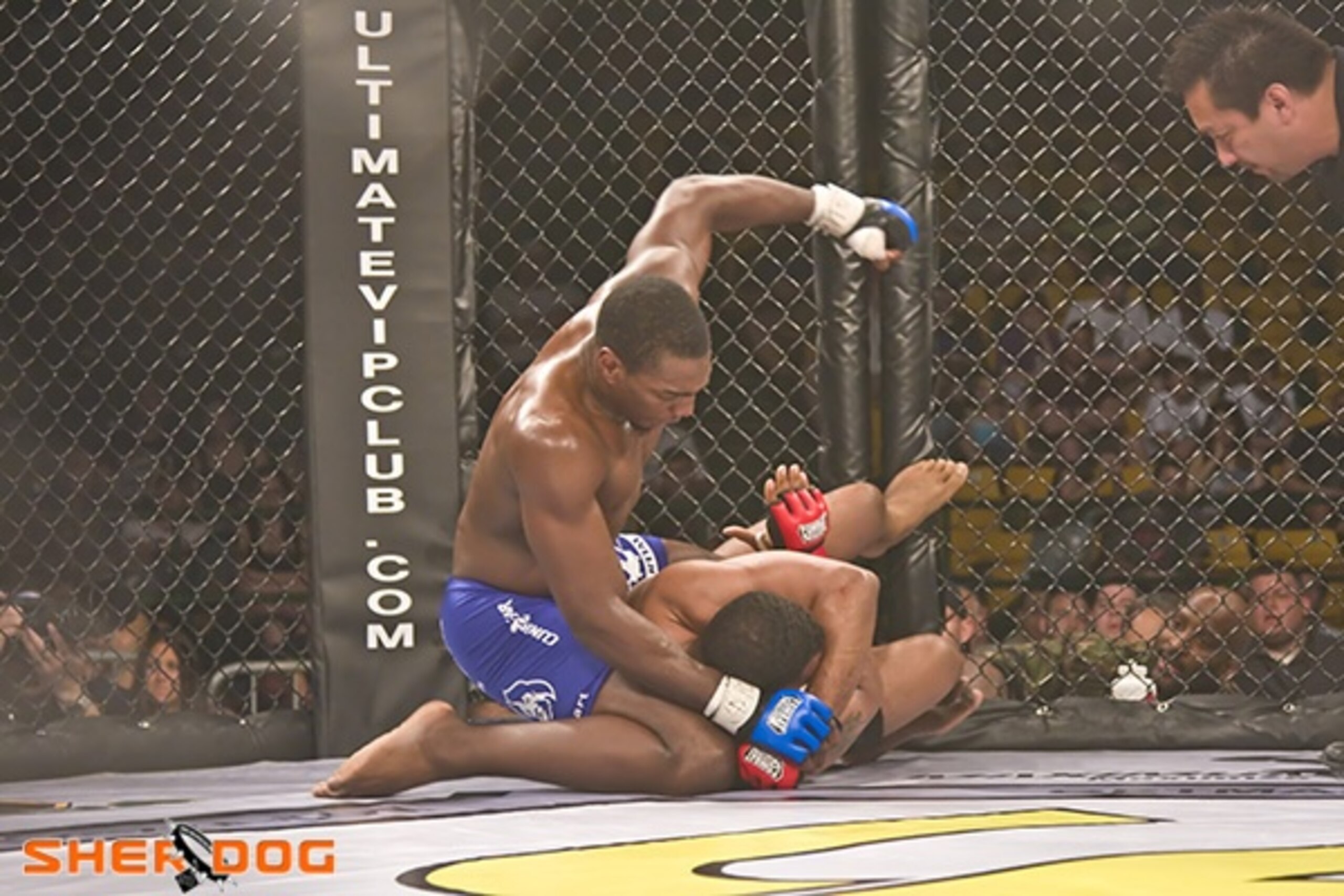 Photo by Fred Haas for Sherdog.com