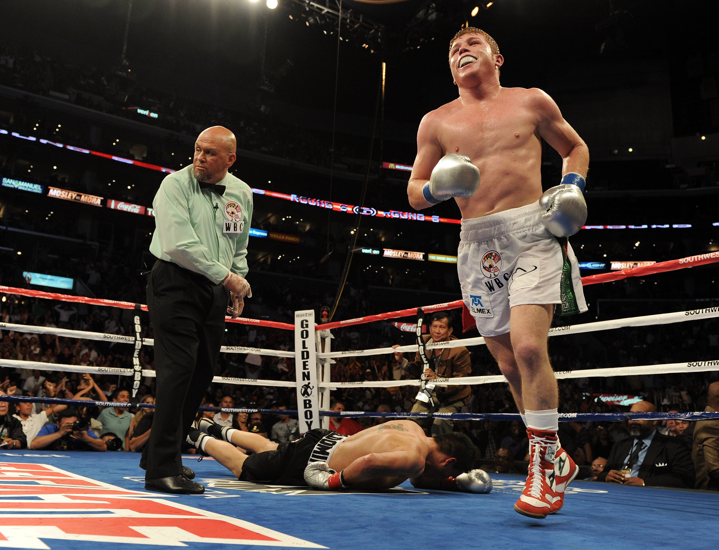 LOS ANGELES, CA - SEPTEMBER 18:  Saul Alvarez of Mexico reacts to his knockout of Carlos Baldomir of Argentina during the sixth round in the WBC Super Welterweight Silver Title fight at Staples Center on September 18, 2010 in Los Angeles, California.  (Ph