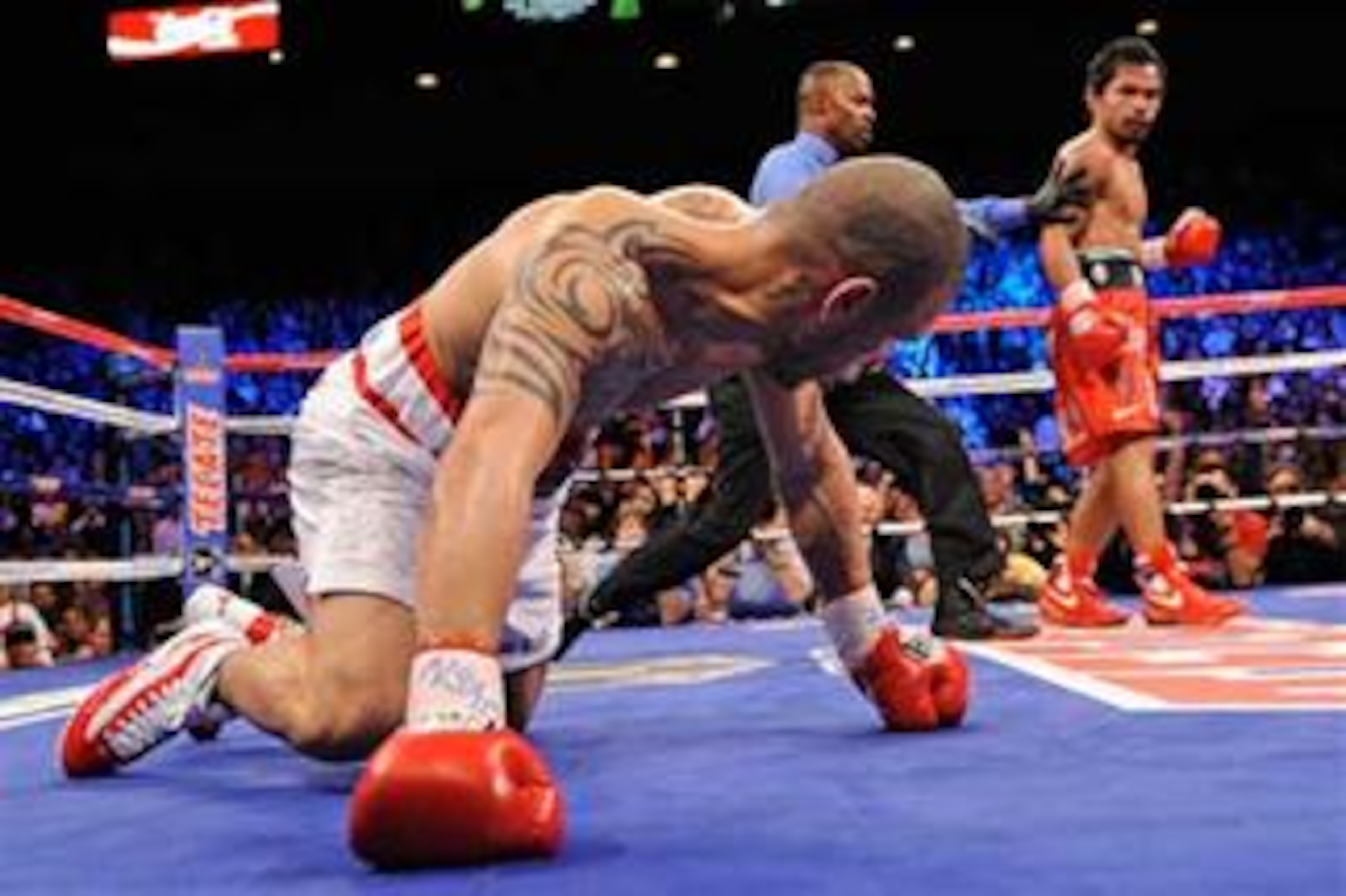 Will Antonio suffer the same fate as Cotto? Will Antonio suffer the same fate as Cotto?