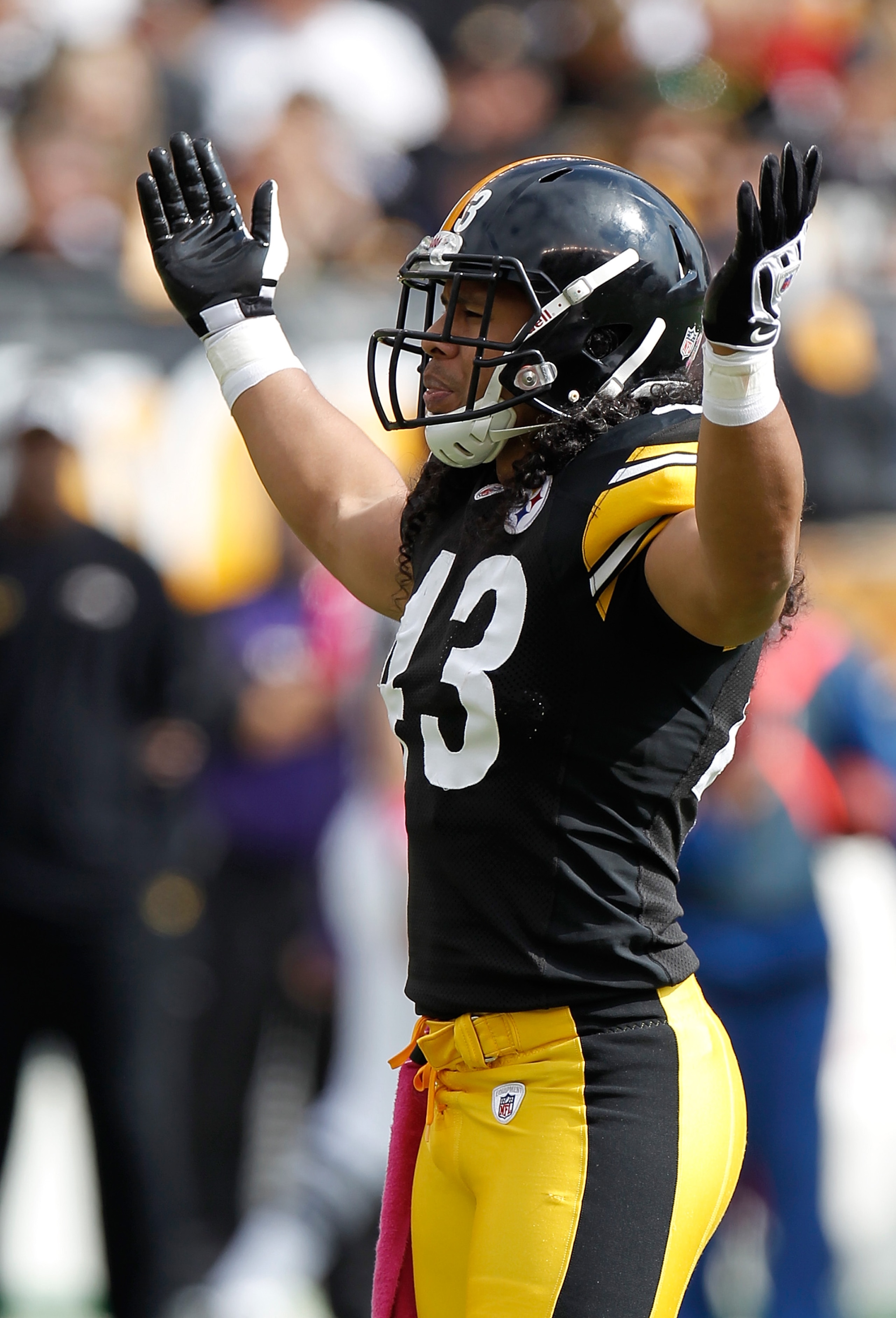 PITTSBURGH - OCTOBER 03: Troy Polamalu #43 of the Pittsburgh Steelers reacts during the game against the Baltimore Ravens on October 3, 2010 at Heinz Field in Pittsburgh, Pennsylvania. (Photo by Gregory Shamus/Getty Images) PITTSBURGH - OCTOBER 03: Troy Polamalu #43 of the Pittsburgh Steelers reacts during the game against the Baltimore Ravens on October 3, 2010 at Heinz Field in Pittsburgh, Pennsylvania. (Photo by Gregory Shamus/Getty Images)