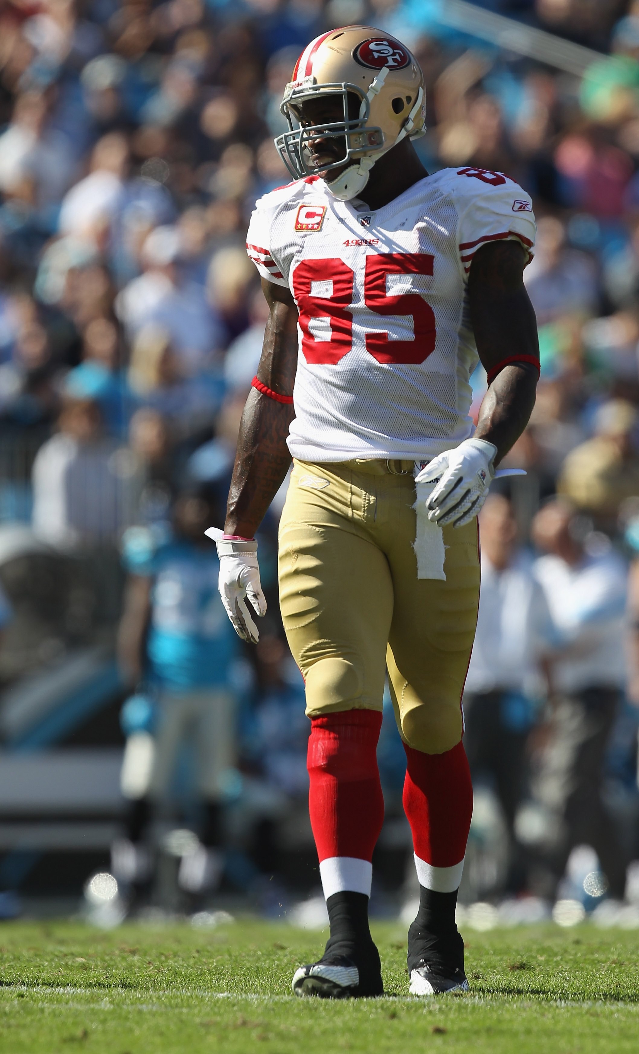 CHARLOTTE, NC - OCTOBER 24:  Vernon Davis #85 of the San Francisco 49ers against the Carolina Panthers during their game at Bank of America Stadium on October 24, 2010 in Charlotte, North Carolina.  (Photo by Streeter Lecka/Getty Images)