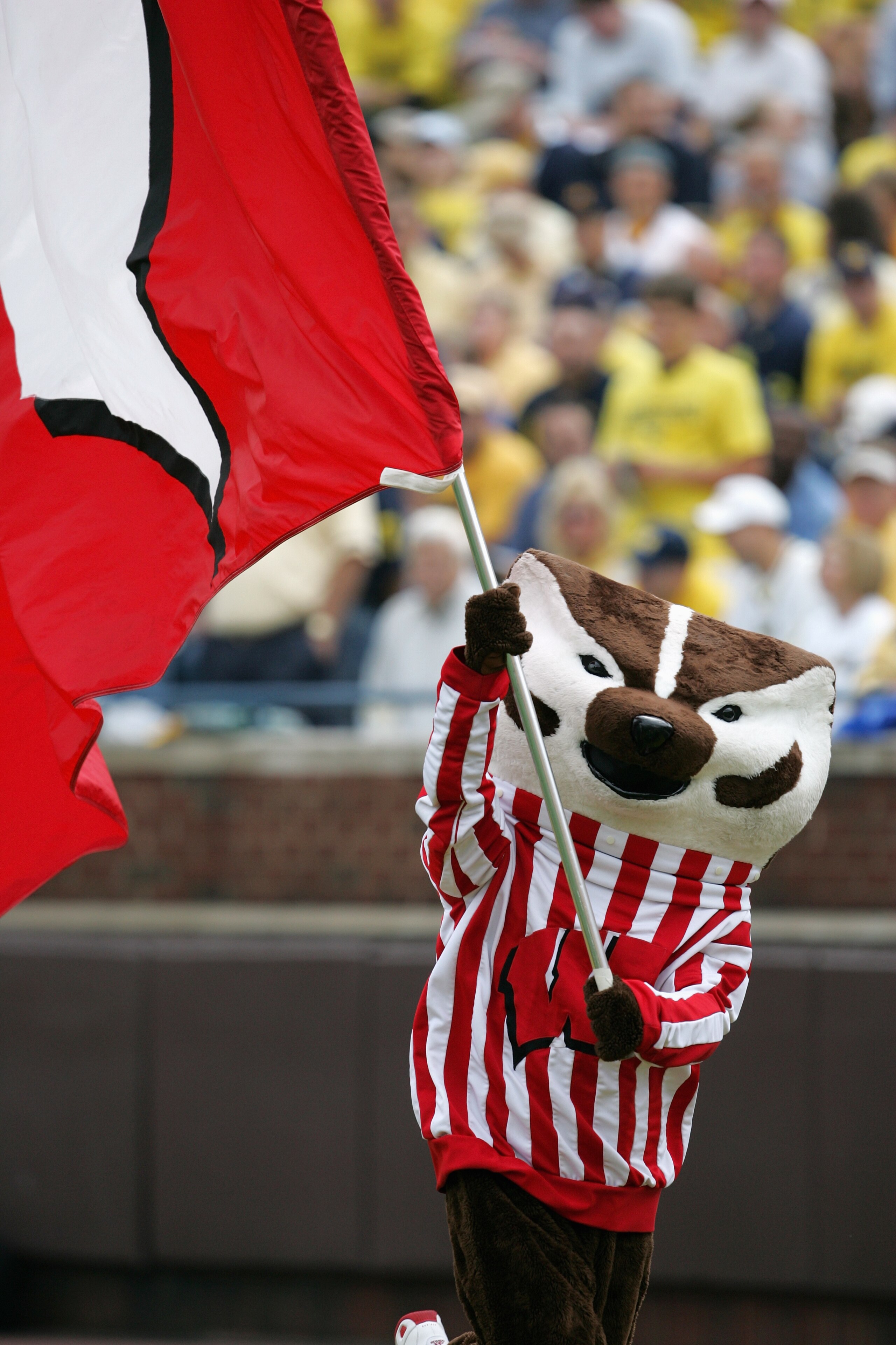 ANN ARBOR, MI - SEPTEMBER 23:  The Wisconsin Badgers mascot performs during the game with the Michigan Wolverines  on September 23, 2006 at Michigan Stadium in Ann Arbor, Michigan. Michigan defeated Wisconsin 27-13. (Photo by Jonathan Daniel/Getty Images)