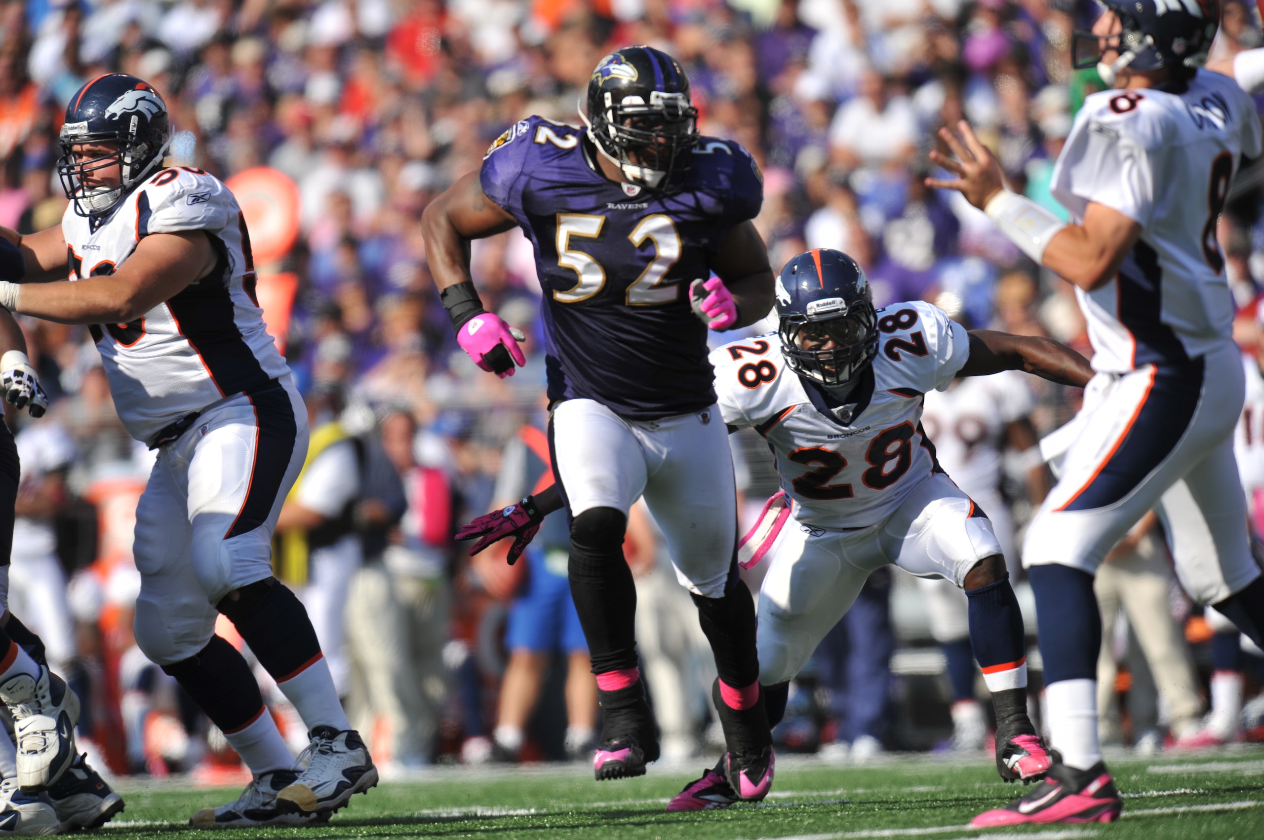 BALTIMORE, MD - OCTOBER 10:  Ray Lewis #52 of the Baltimore Ravens defends against the Denver Broncos at M&T Bank Stadium on October 10, 2010 in Baltimore, Maryland. Players wore pink in recognition of Breast Cancer Awareness Month. The Ravens defeated th