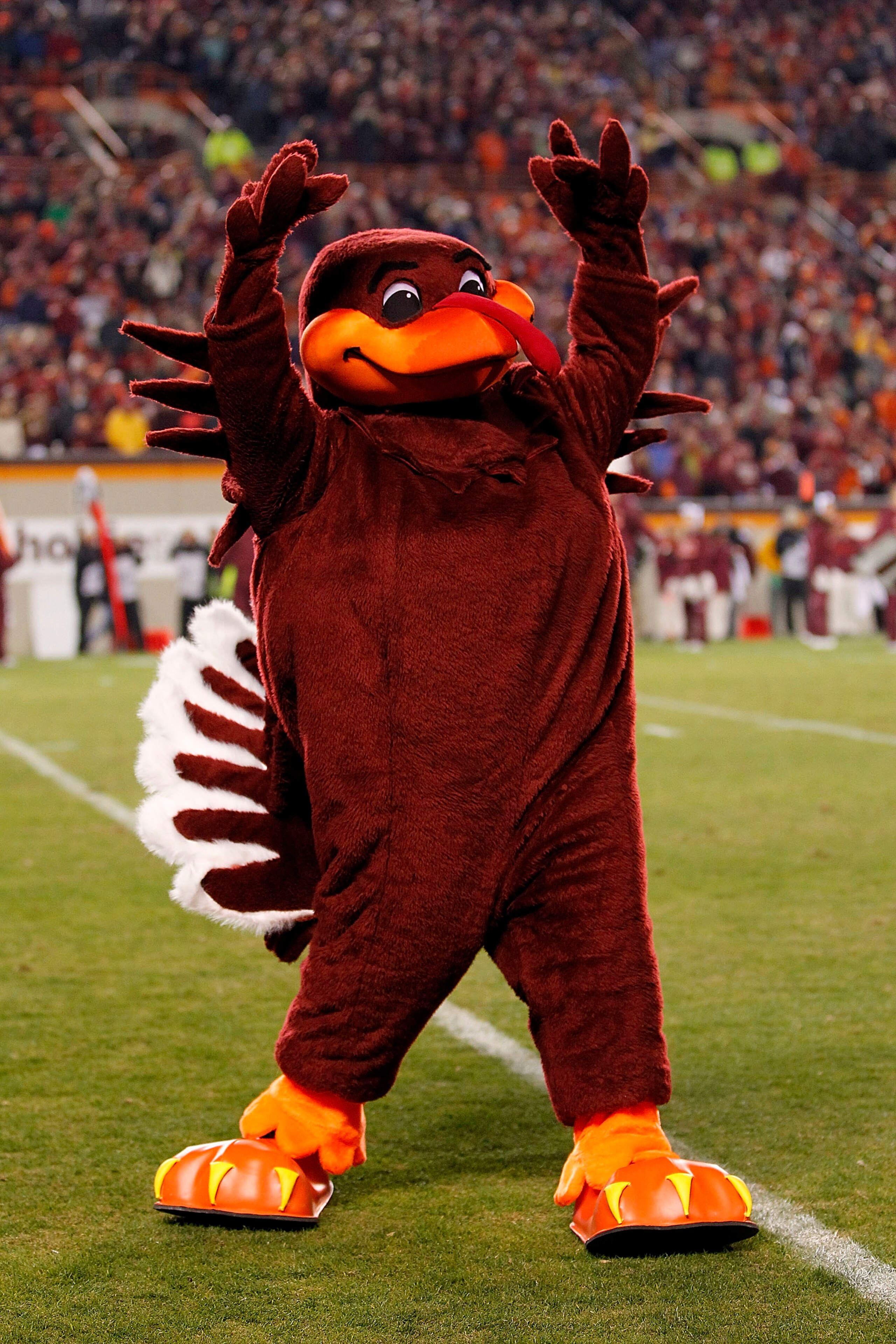 BLACKSBURG, VA - NOVEMBER 04: 'Hokie Bird', the mascot for the Virginia Tech Hokies, performs on the field against the Georgia Tech Yellow Jackets at Lane Stadium on November 4, 2010 in Blacksburg, Virginia.  (Photo by Geoff Burke/Getty Images)