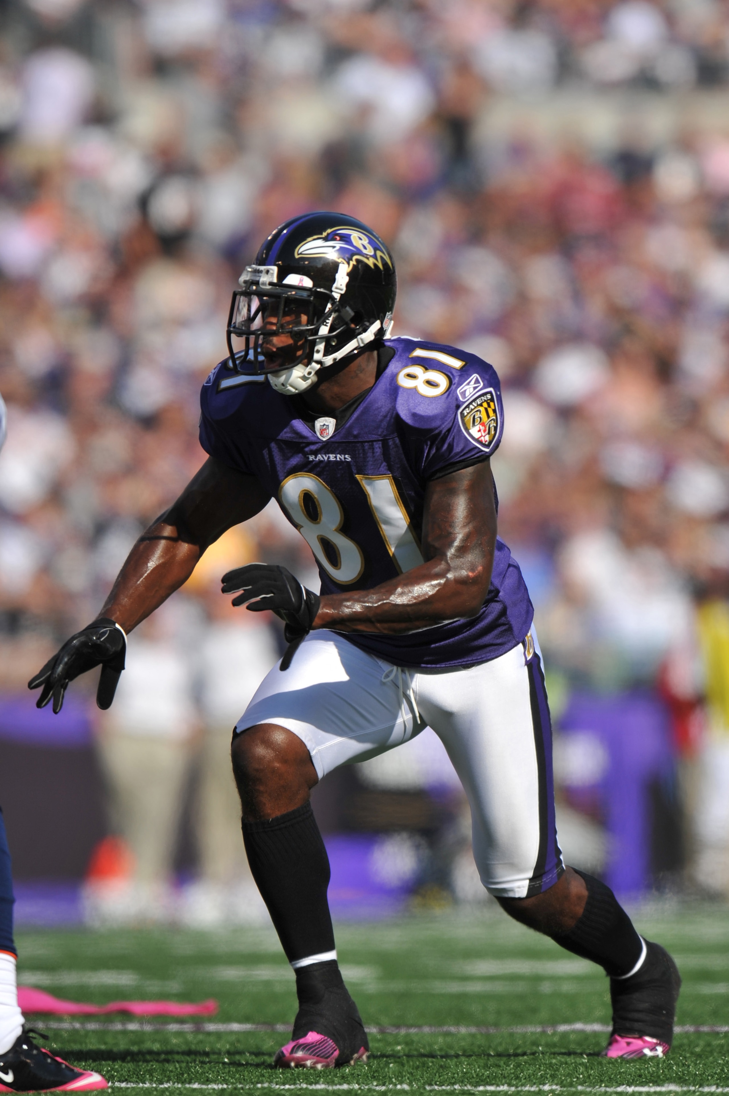BALTIMORE, MD - OCTOBER 10: Anquan Boldin #81 of the Baltimore Ravens prepares to run downfield against the Denver Broncos at M&T Bank Stadium on October 10, 2010 in Baltimore, Maryland. Players wore pink in recognition of Breast Cancer Awareness Month. T