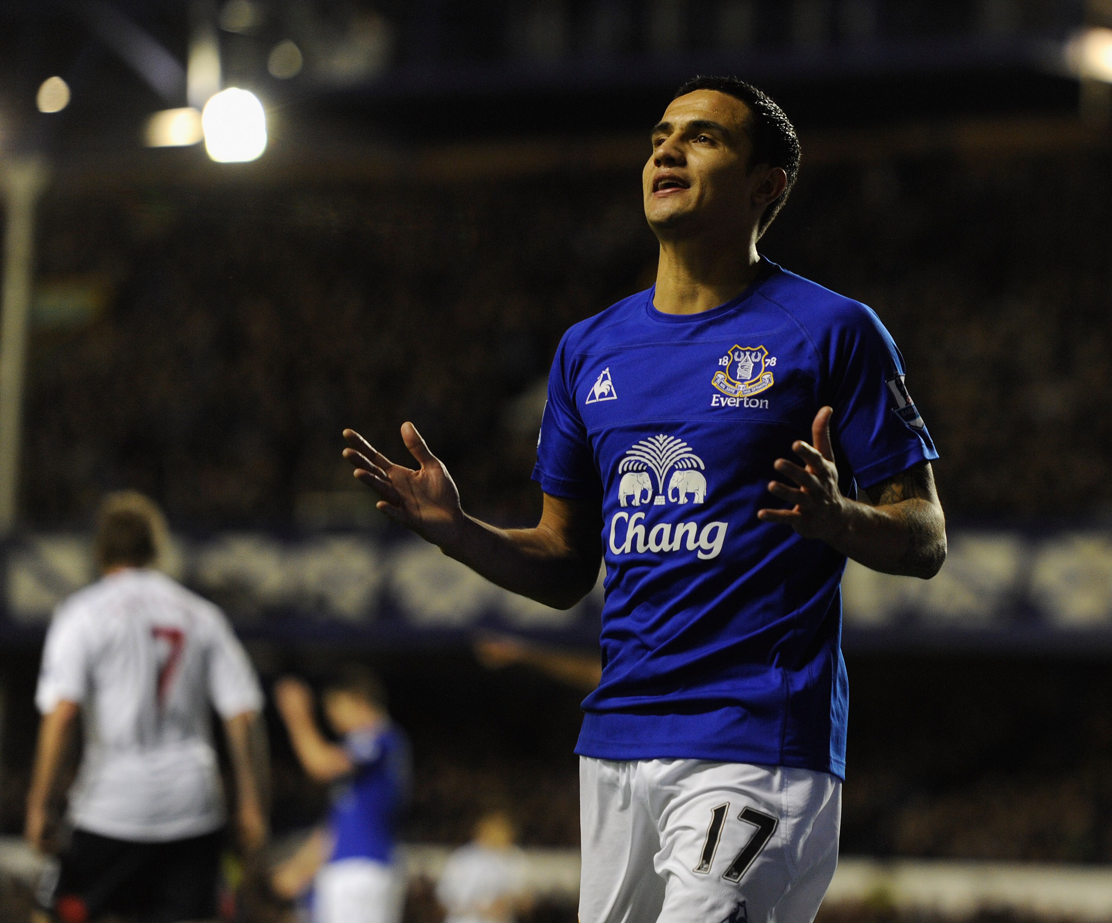 LIVERPOOL, ENGLAND - NOVEMBER 10: Tim Cahill of Everton looks dejected after a missed chance during the Barclays Premier League match between Everton and Bolton Wanderers at Goodison Park on November 10, 2010 in Liverpool, England.  (Photo by Michael Rega