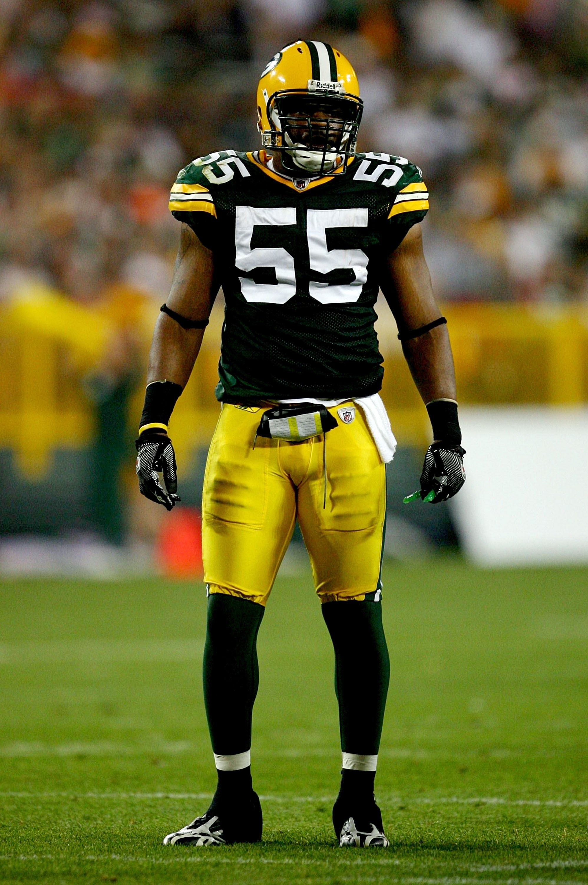 GREEN BAY, WI - AUGUST 15:  Linebacker Desmond Bishop #55 of the Green Bay Packers looks on against the Cleveland Browns during the preseason game at Lambeau Field on August 15, 2009 in Green Bay, Wisconsin.  (Photo by Jonathan Daniel/Getty Images)