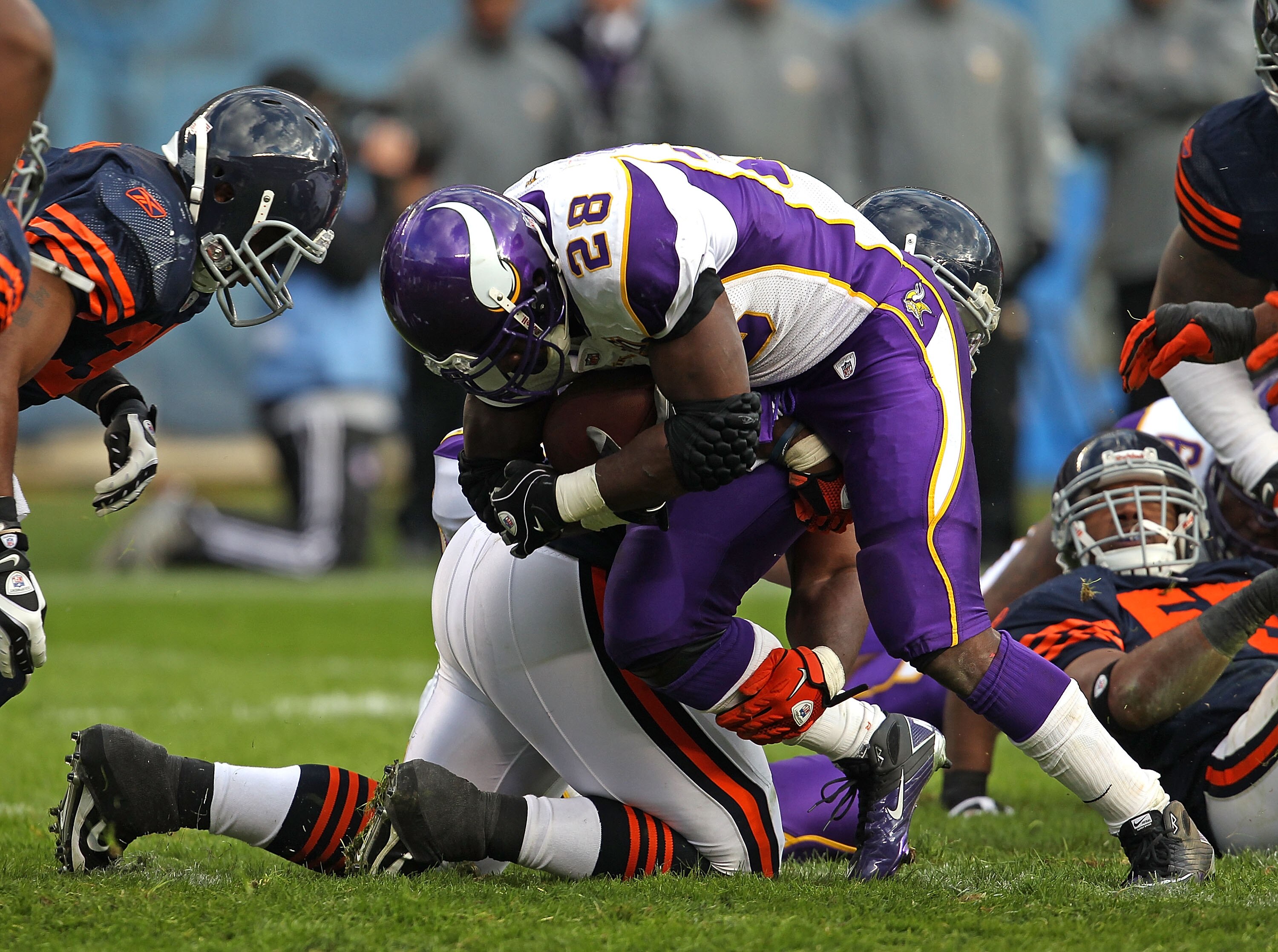 CHICAGO - NOVEMBER 14: Anthony Adams #95 of the Chicago Bears brings down Adrian Peterson #28 of the Minnesota Vikings at Soldier Field on November 14, 2010 in Chicago, Illinois. The Bears defeated the Vikings 27-13. (Photo by Jonathan Daniel/Getty Images