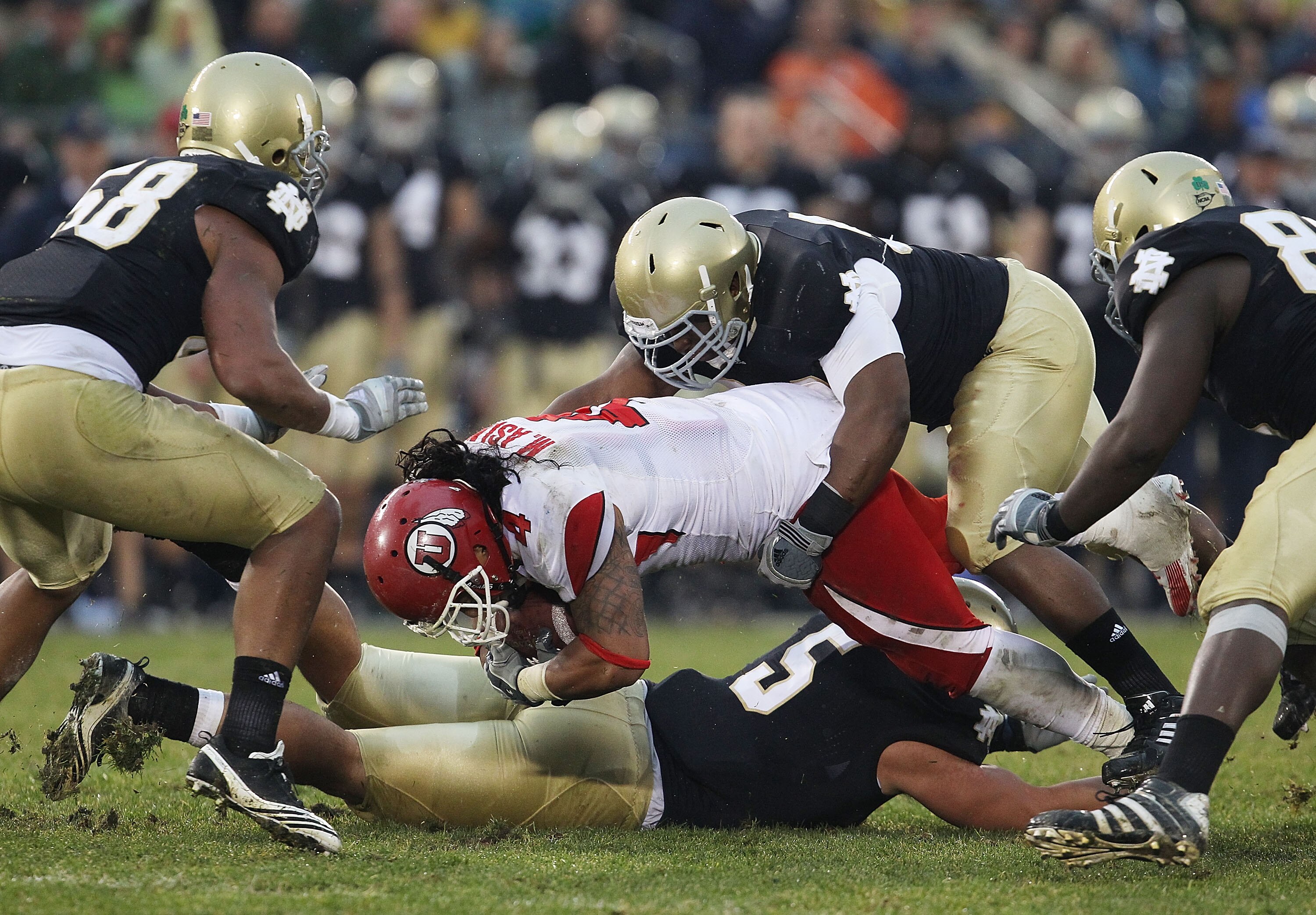 SOUTH BEND, IN - NOVEMBER 13: Manti Te'o #5 and Emeka Nwankwo #91 of the Notre Dame Fighting Irish tackle Matt Asiata #4 of the Utah Utes as Brian Smith #58 (L) and Kapron Lewis-Moore #89 close in at Notre Dame Stadium on November 13, 2010 in South Bend,