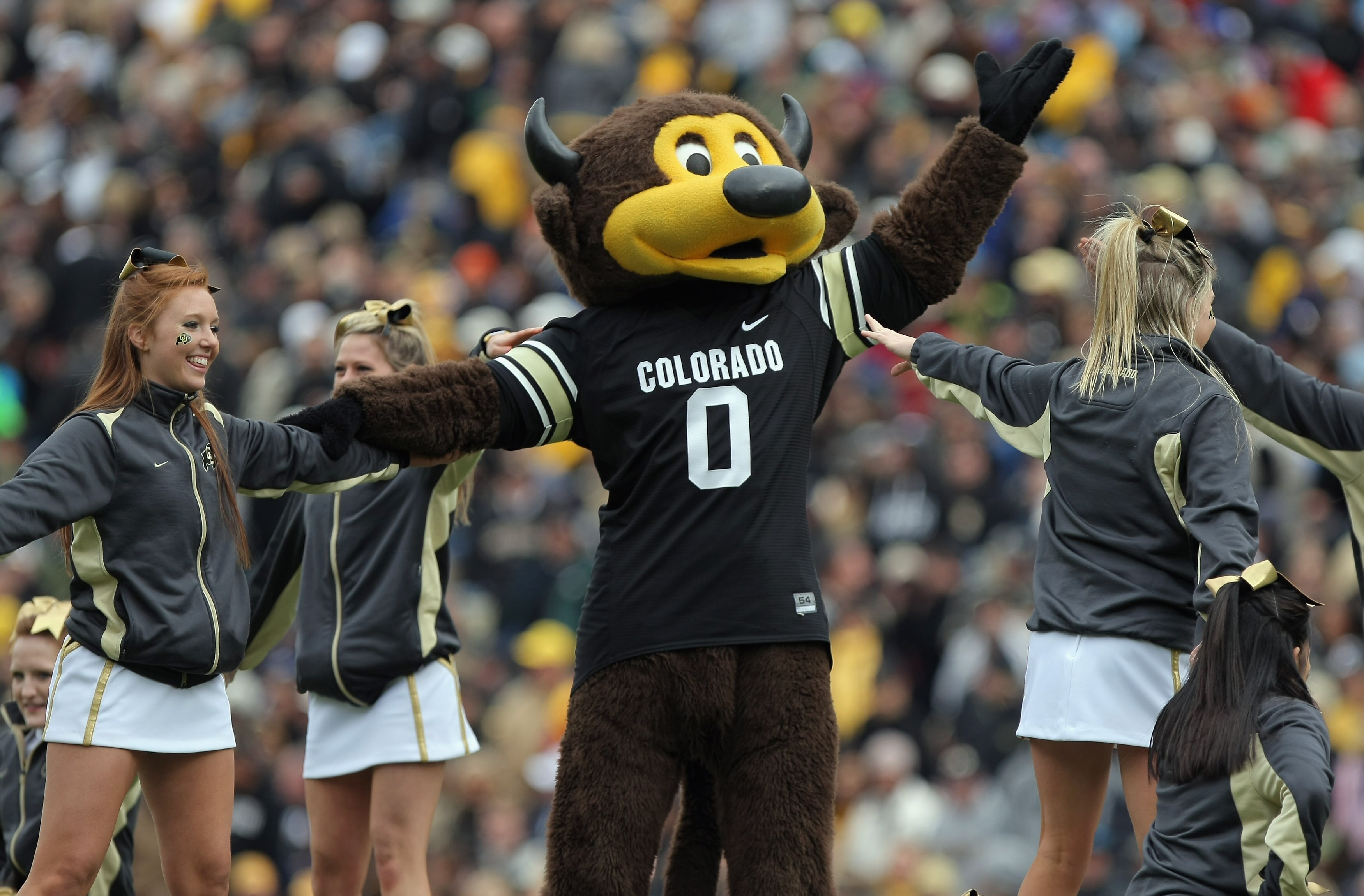 BOULDER, CO - NOVEMBER 13:  Chip, the Colorado Buffaloes mascot, does a stunt with the cheerleaders during a break in the action against the Iowa State Cyclones at Folsom Field on November 13, 2010 in Boulder, Colorado. Colorado defeated Iowa State 34-14.