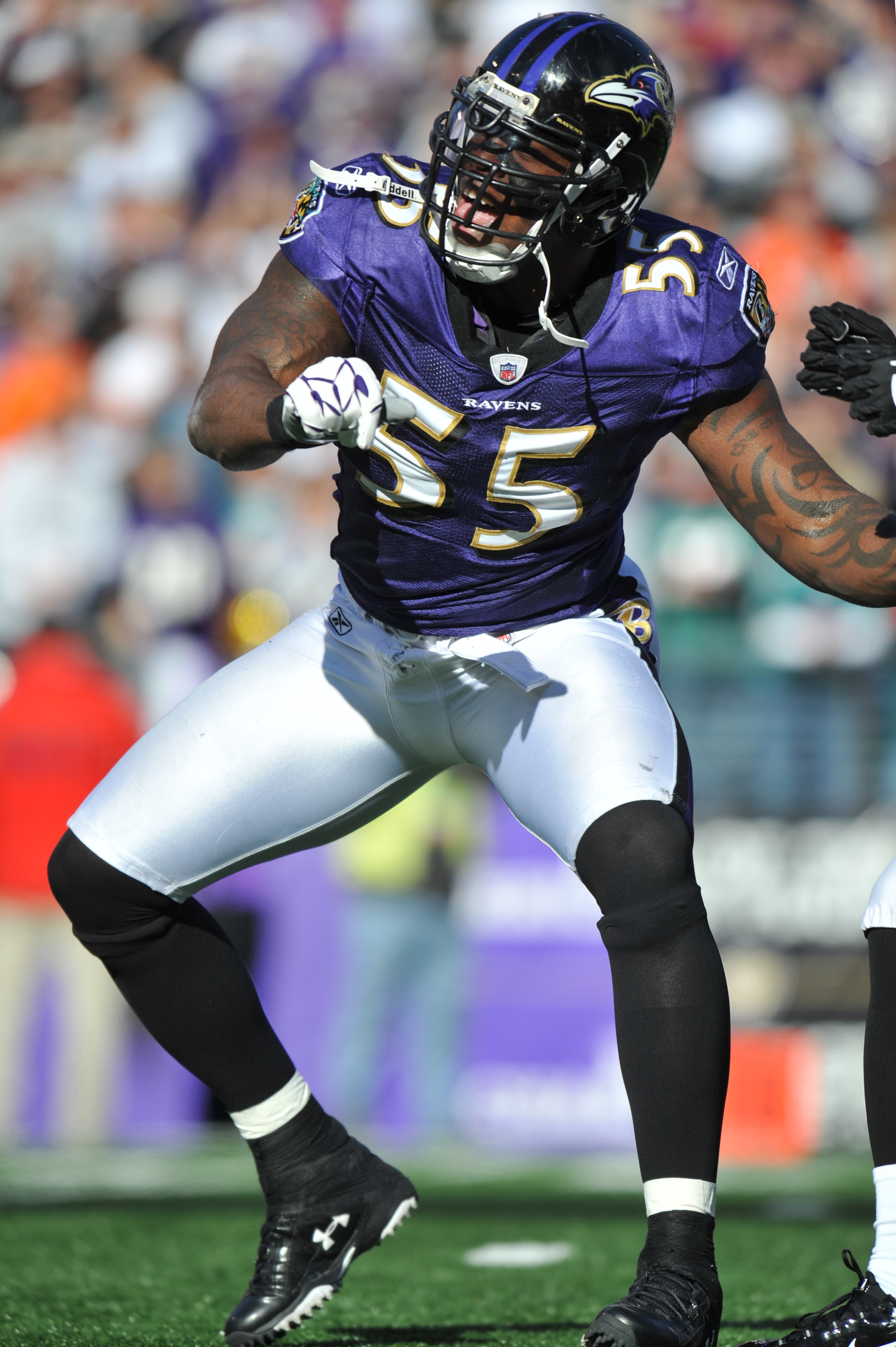BALTIMORE, MD - NOVEMBER 7:  Terrell Suggs #55 of the Baltimore Ravens celebrates a play against the Miami Dolphins at M&T Bank Stadium on November 7, 2010 in Baltimore, Maryland. The Ravens defeated the Dolphins 26-10. (Photo by Larry French/Getty Images