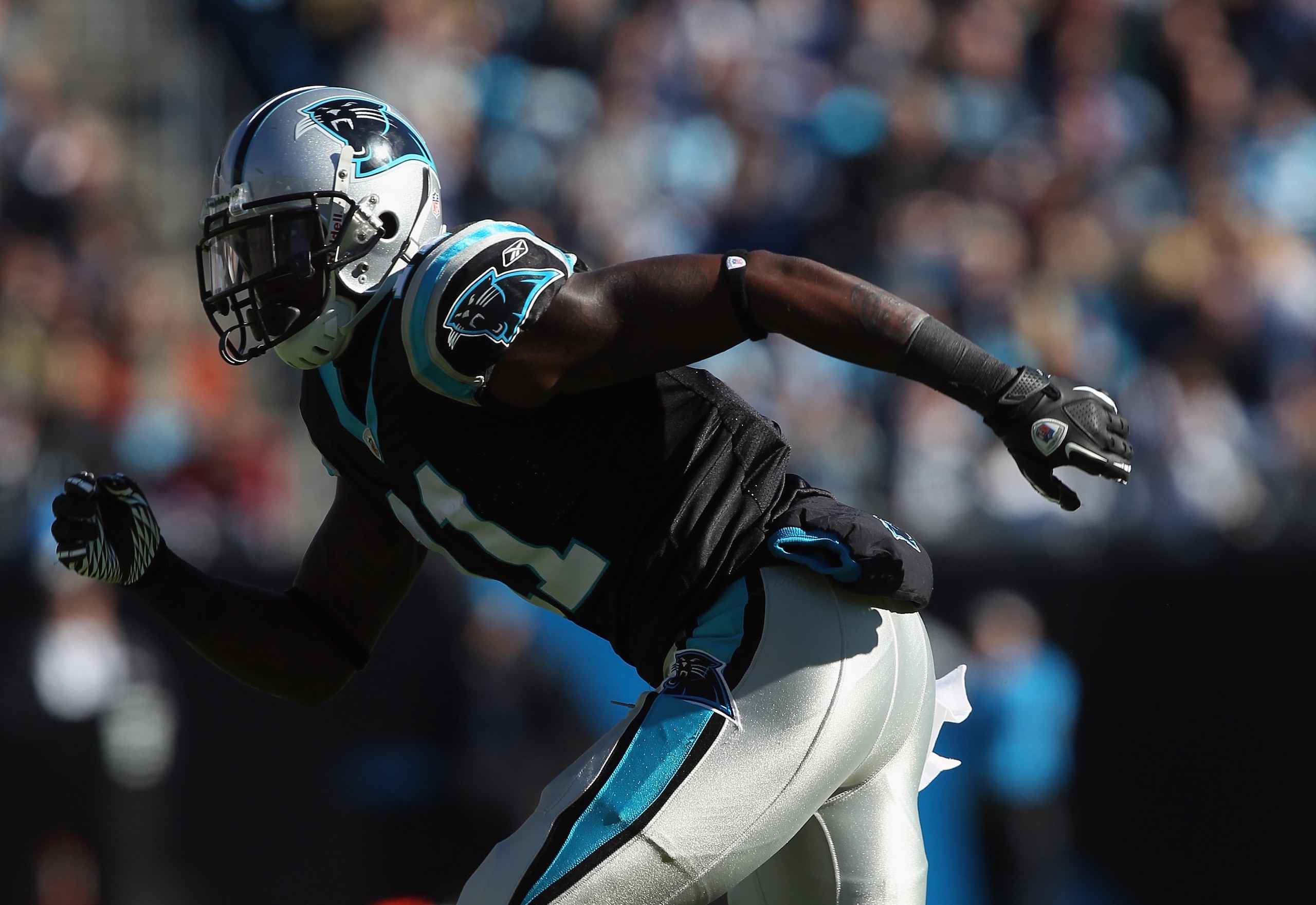 CHARLOTTE, NC - NOVEMBER 07:  Brandon LaFell #11 of the Carolina Panthers sits on the bench against the New Orleans Saints during their game at Bank of America Stadium on November 7, 2010 in Charlotte, North Carolina.  (Photo by Streeter Lecka/Getty Image