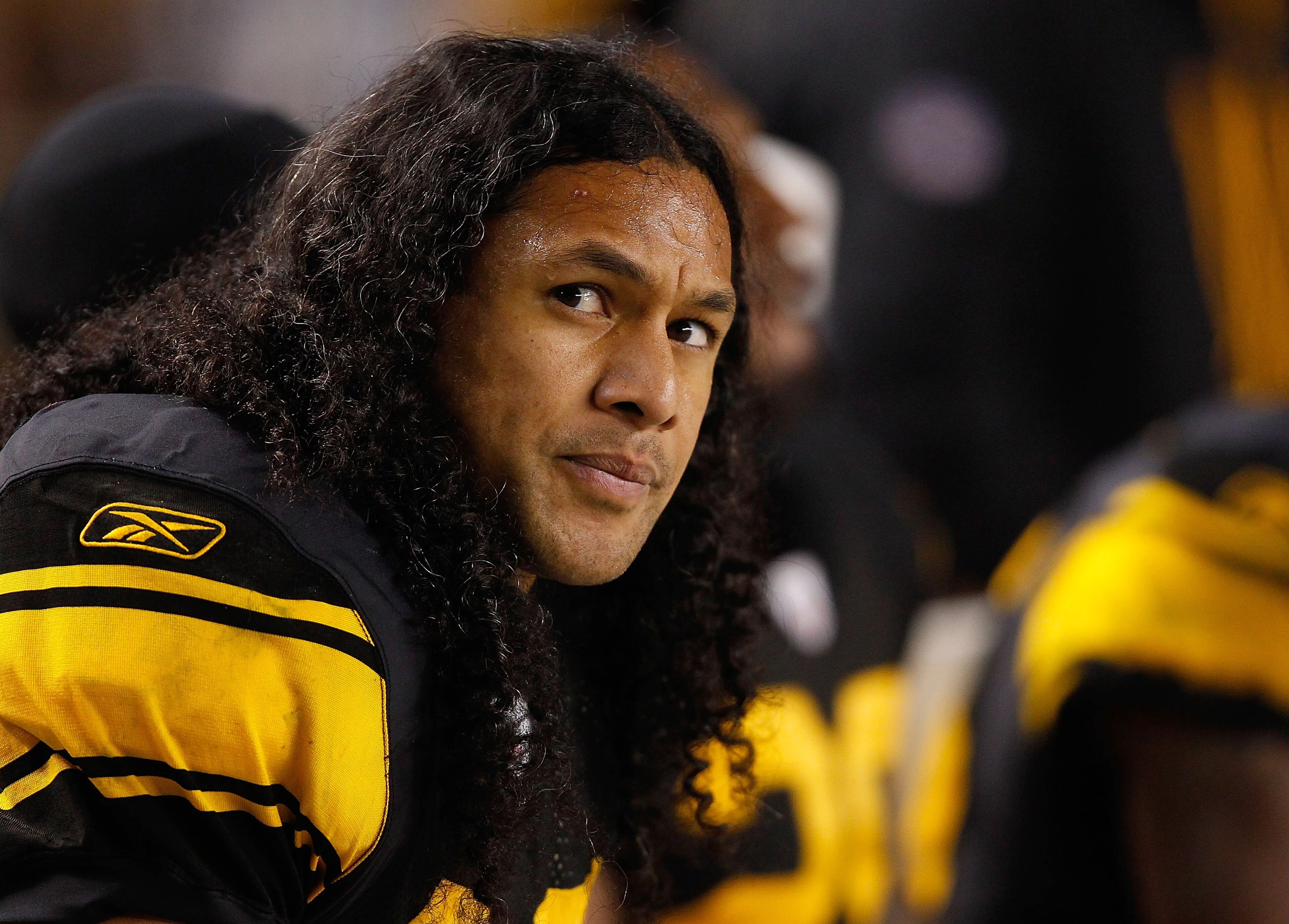 PITTSBURGH - NOVEMBER 14: Troy Polamalu #43 of the Pittsburgh Steelers watches the game against the New England Patriots from the bench during the game on November 14, 2010 at Heinz Field in Pittsburgh, Pennsylvania. (Photo by Jared Wickerham/Getty Imag PITTSBURGH - NOVEMBER 14: Troy Polamalu #43 of the Pittsburgh Steelers watches the game against the New England Patriots from the bench during the game on November 14, 2010 at Heinz Field in Pittsburgh, Pennsylvania. (Photo by Jared Wickerham/Getty Imag