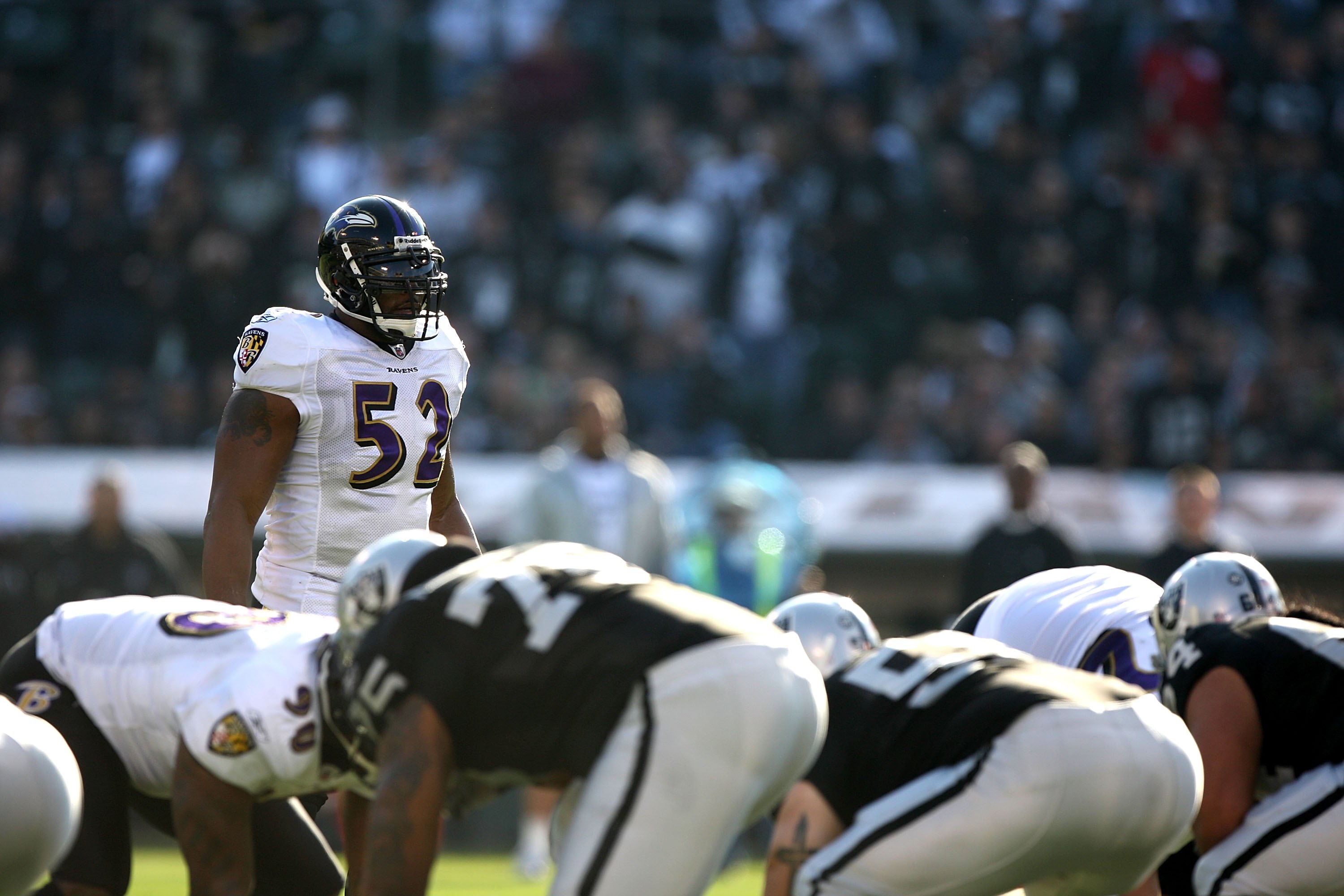 OAKLAND, CA - JANUARY 03:  Ray Lewis #52 of the Baltimore Ravens in action against the Oakland Raiders during an NFL game at Oakland-Alameda County Coliseum on January 3, 2010 in Oakland, California.  (Photo by Jed Jacobsohn/Getty Images)