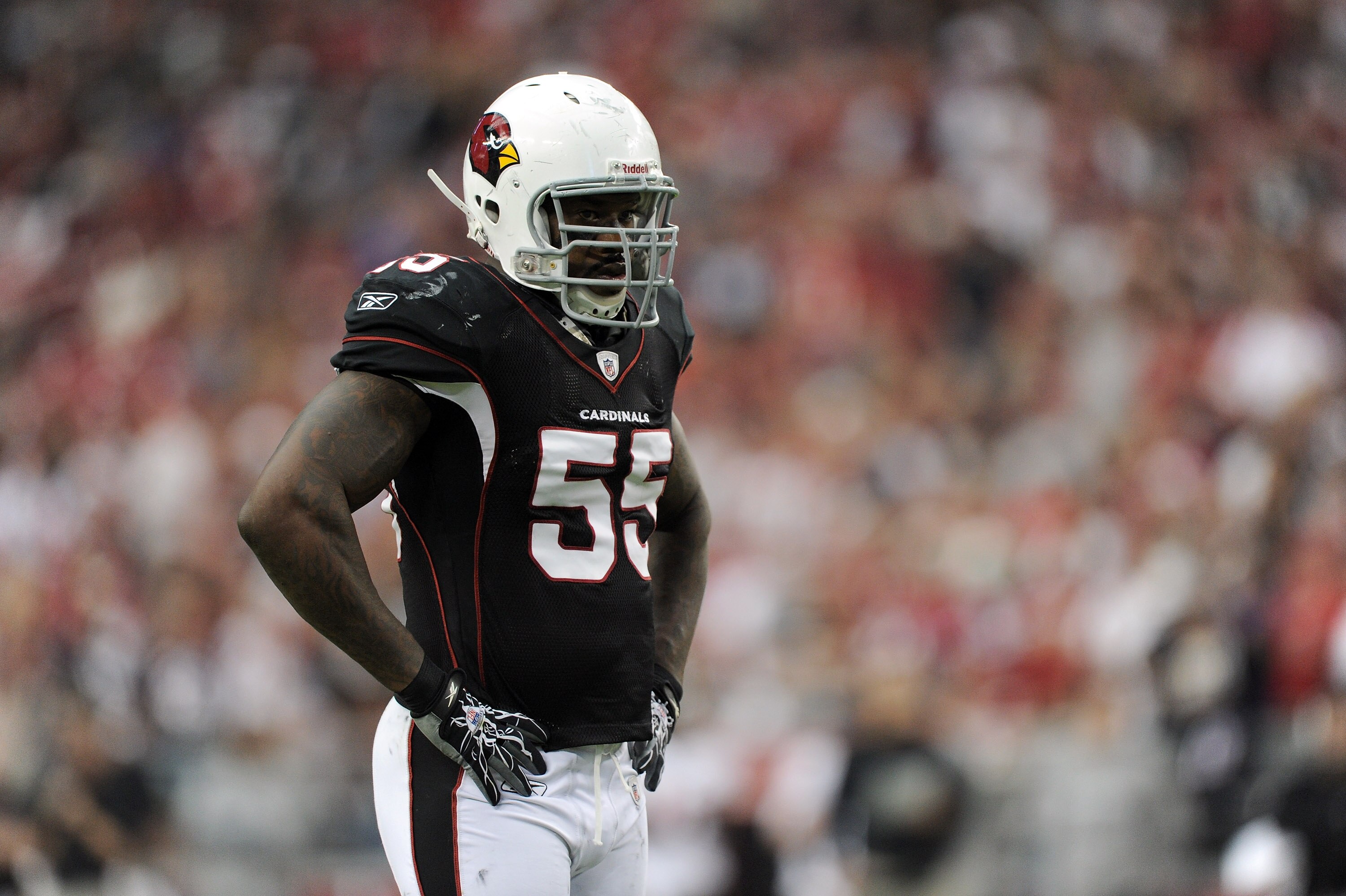 GLENDALE, AZ - OCTOBER 31:  Joey Porter #55 of the Arizona Cardinals waits at the line of scrimmage against the Tampa Bay Buccaneers at University of Phoenix Stadium on October 31, 2010 in Glendale, Arizona.  (Photo by Harry How/Getty Images)