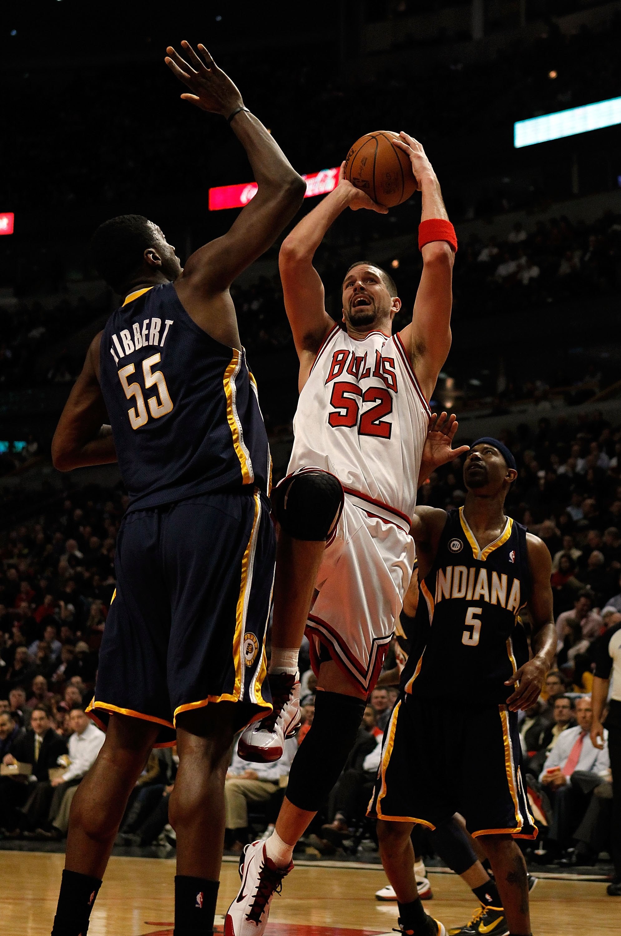 CHICAGO - FEBRUARY 24: Brad Miller #52 of the Chicago Bulls puts up a shot between Roy Hibbert #55 and T.J. Ford #5 of the Indiana Pacers at the United Center on February 24, 2010 in Chicago, Illinois. The Bulls defeated the Pacers 120-110. NOTE TO USER: