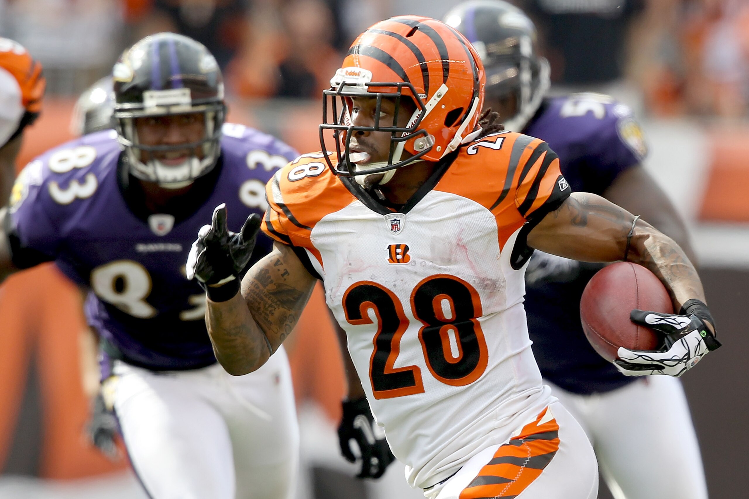 CINCINNATI - SEPTEMBER 19:  Bernard Scott #28 of the Cincinnati Bengals carries the ball against the Baltimore Ravens at Paul Brown Stadium on September 19, 2010 in Cincinnati, Ohio. The Bengals beat the Ravens 15-10.  (Photo by Matthew Stockman/Getty Ima