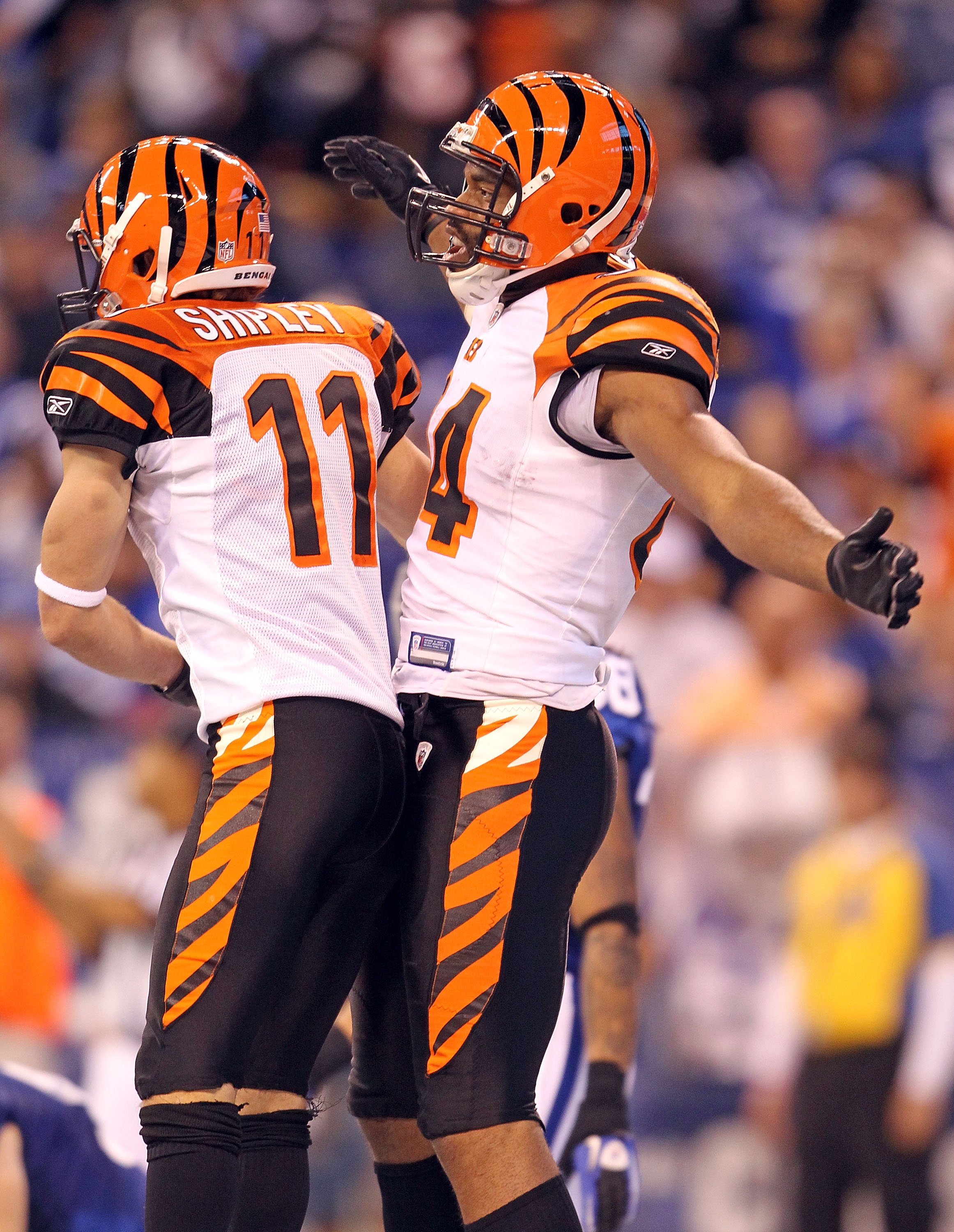 INDIANAPOLIS - NOVEMBER 14:  Jermaine Gresham #84 of the Cincinnati Bengals celebrates with Jordan Shipley#11 after catching a pass for a touchdown during the Bengals 23-17 loss to the Indianapolis Colts in the NFL game at Lucas Oil Stadium on November 14