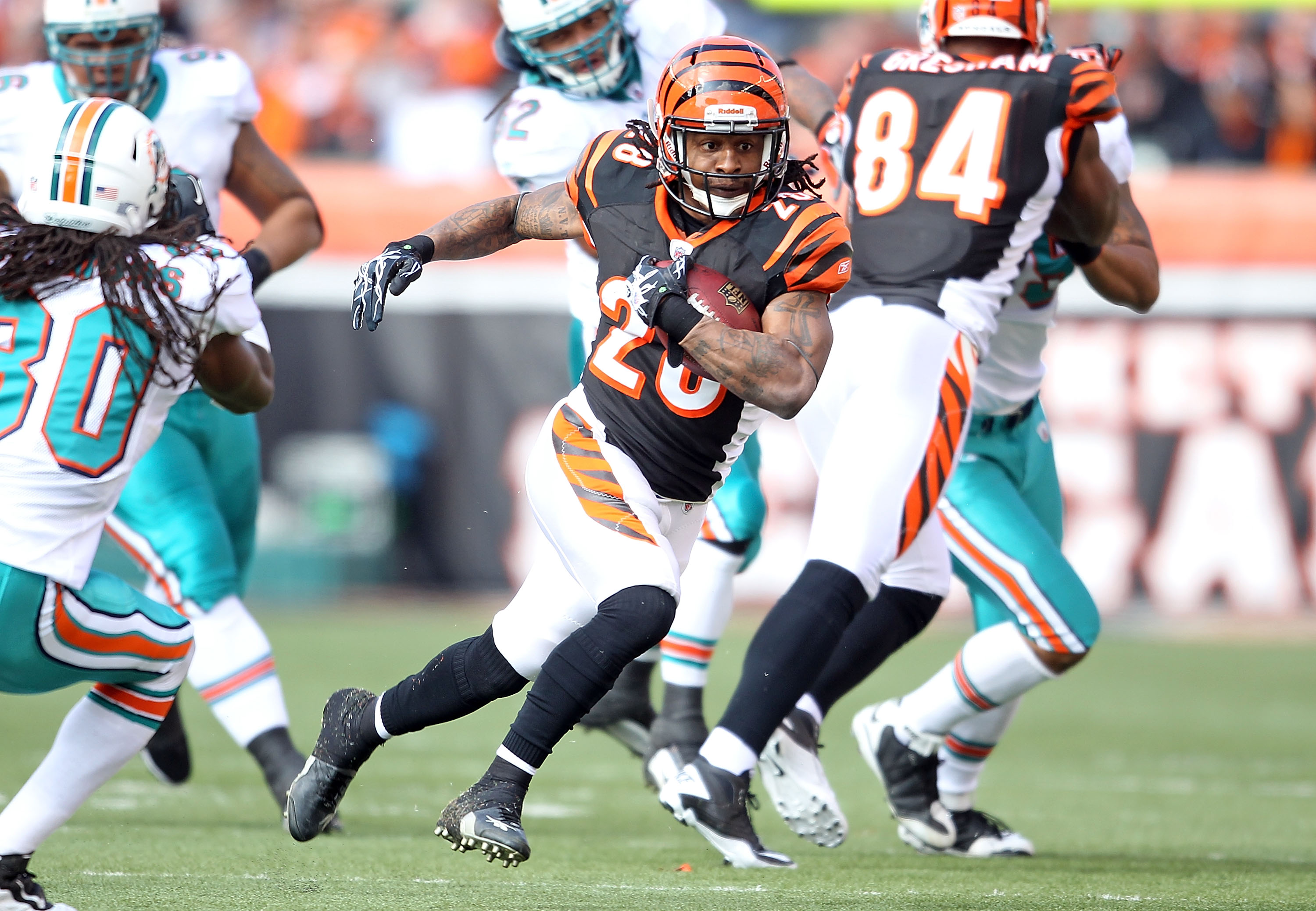 CINCINNATI - OCTOBER 31:  Bernard Scott #28 of  the Cincinnati Bengals runs with the ball during the NFL game against the Miami Dolphins at Paul Brown Stadium on October 31, 2010 in Cincinnati, Ohio.  (Photo by Andy Lyons/Getty Images)