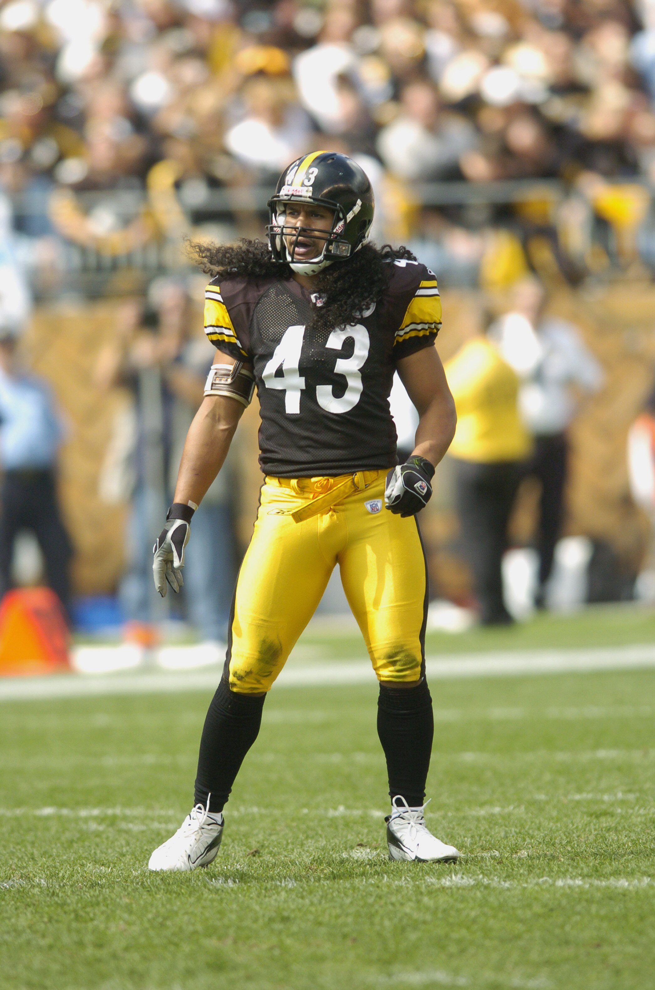 PITTSBURGH, PA - SEPTEMBER 24:  Troy Polamalu #43 of the Pittsburgh Steelers gets set for play during the NFL game against the Cincinnati Bengals on September 24, 2006 at Heinz Field in Pittsburgh, Pennsylvania. The Bengals won the game 28-20.  (Photo by 