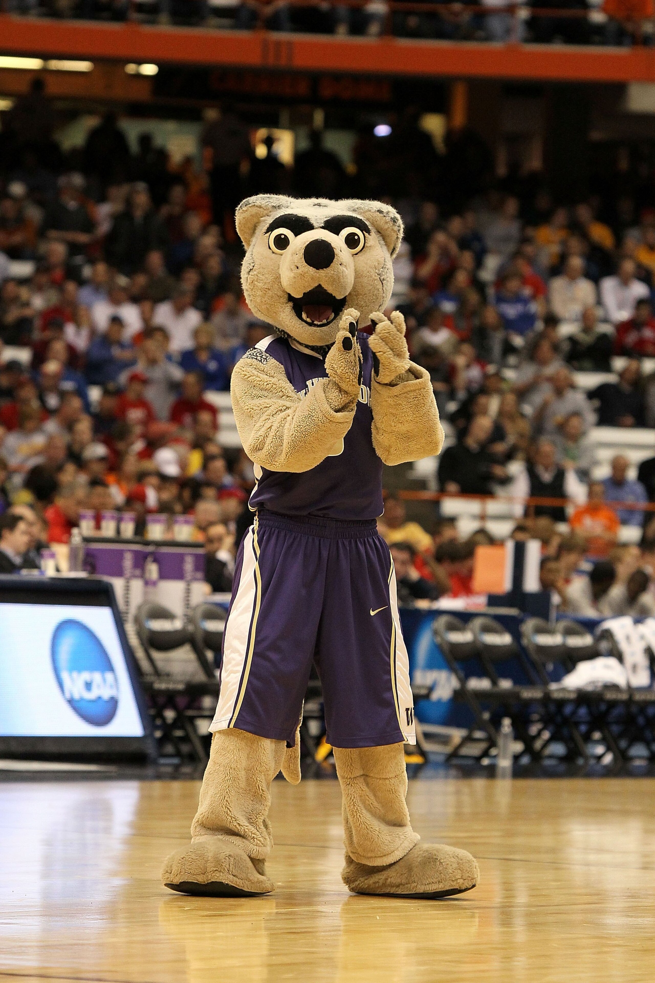 SYRACUSE, NY - MARCH 25:  The mascot for the Washington Huskies performs against the West Virginia Mountaineers during the east regional semifinal of the 2010 NCAA men's basketball tournament at the Carrier Dome on March 25, 2010 in Syracuse, New York.  (