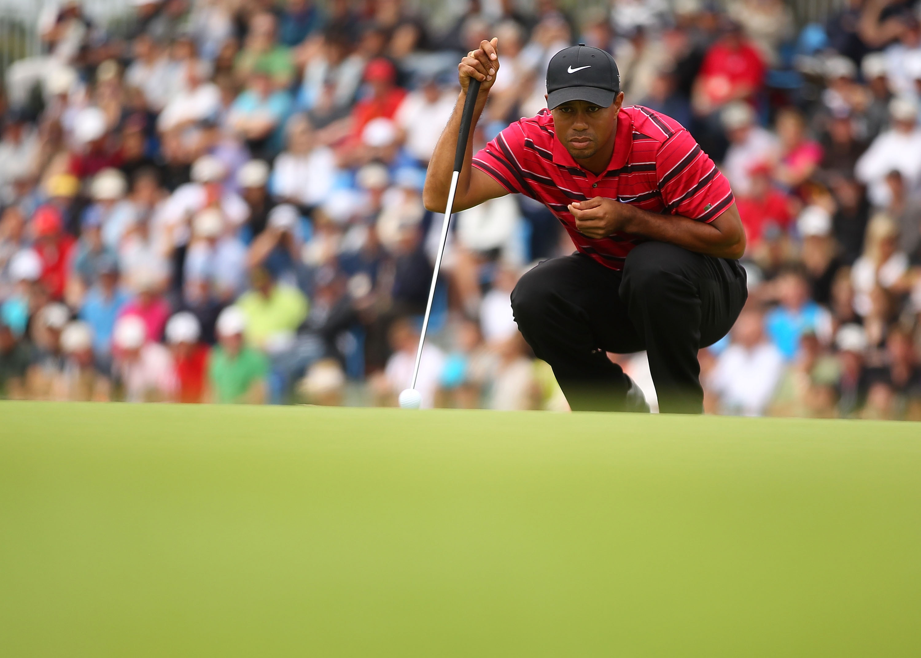 MELBOURNE, AUSTRALIA - NOVEMBER 14:  Tiger Woods of the USA lines up his putt shot during day four of the Australian Masters at The Victoria Golf Club on November 14, 2010 in Melbourne, Australia.  (Photo by Robert Cianflone/Getty Images)